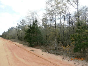 REO-vacant lot available. Many other lots available. Call for details. Lot financing, Spec house Financing and bulk purchases are available. Please inquire for more details.