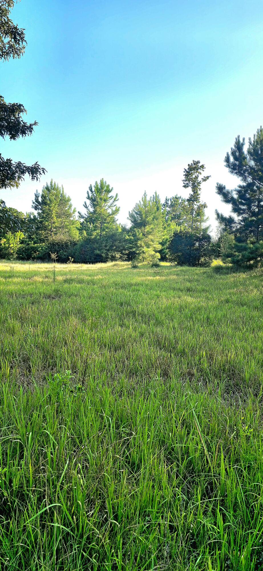 NO RECORDED SUBDIVISION - Land