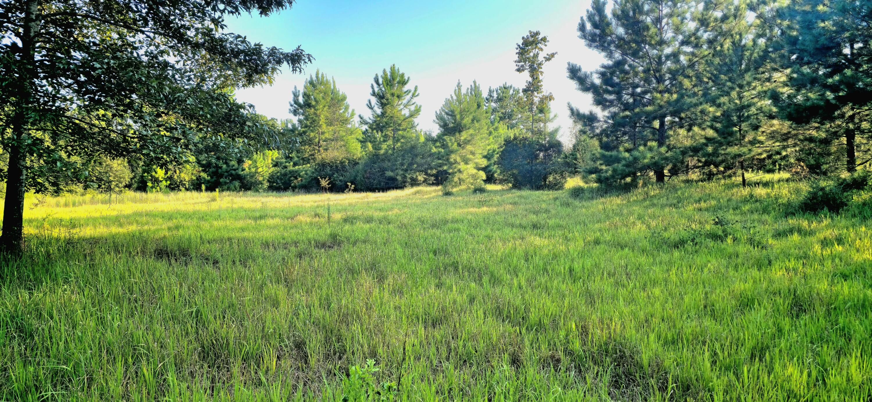 NO RECORDED SUBDIVISION - Land