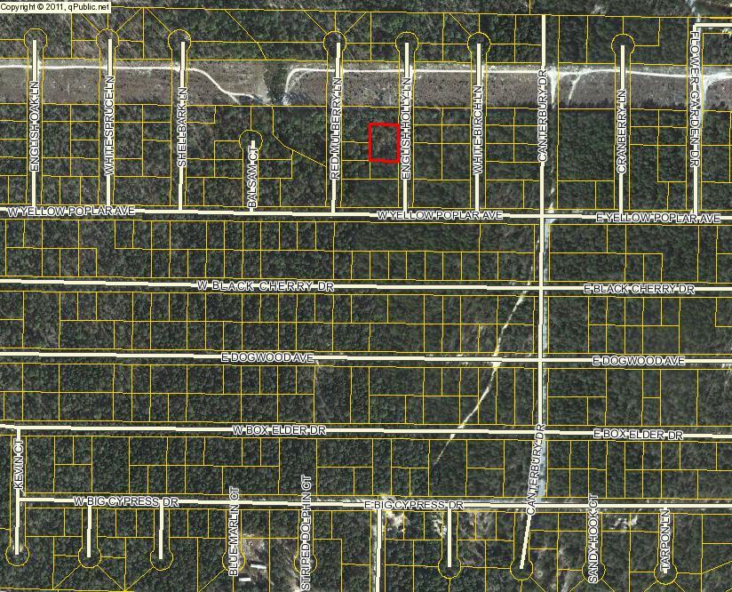 Lot is not clearly marked. Dirt road to property. There are 2 lots under the parcel ID and each lot is sold individually for $2500 each. Can buy both lots for $5000