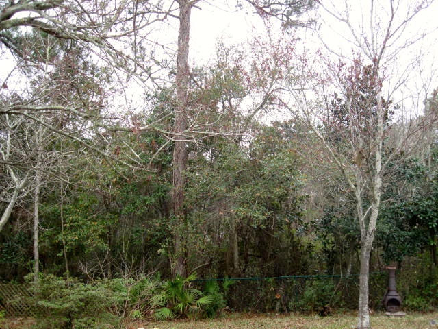 MARINERS COVE - Residential