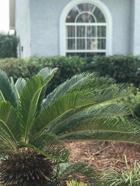 MAGNOLIA PLACE - Residential