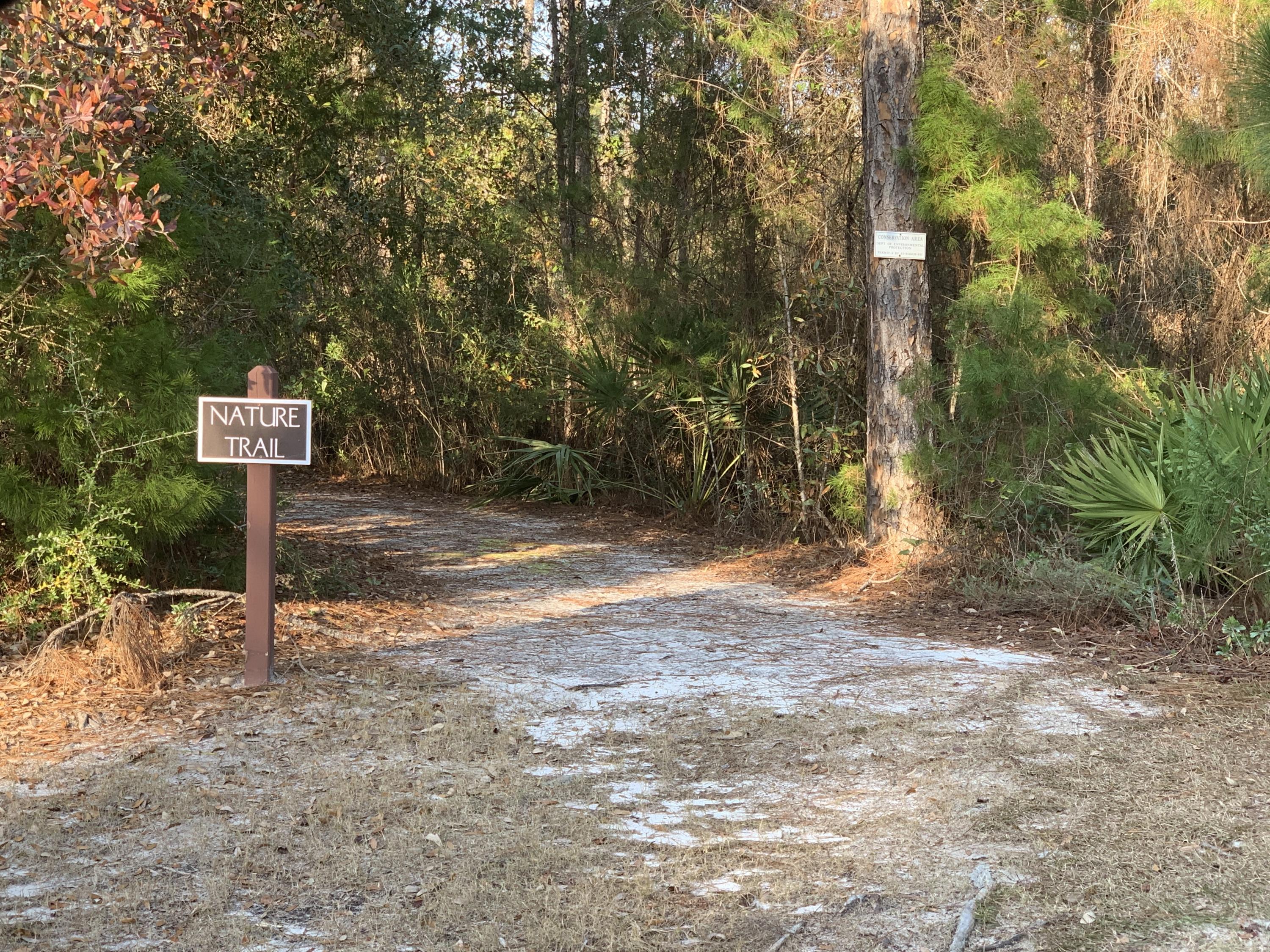 Wild Heron Phase XIV - Land