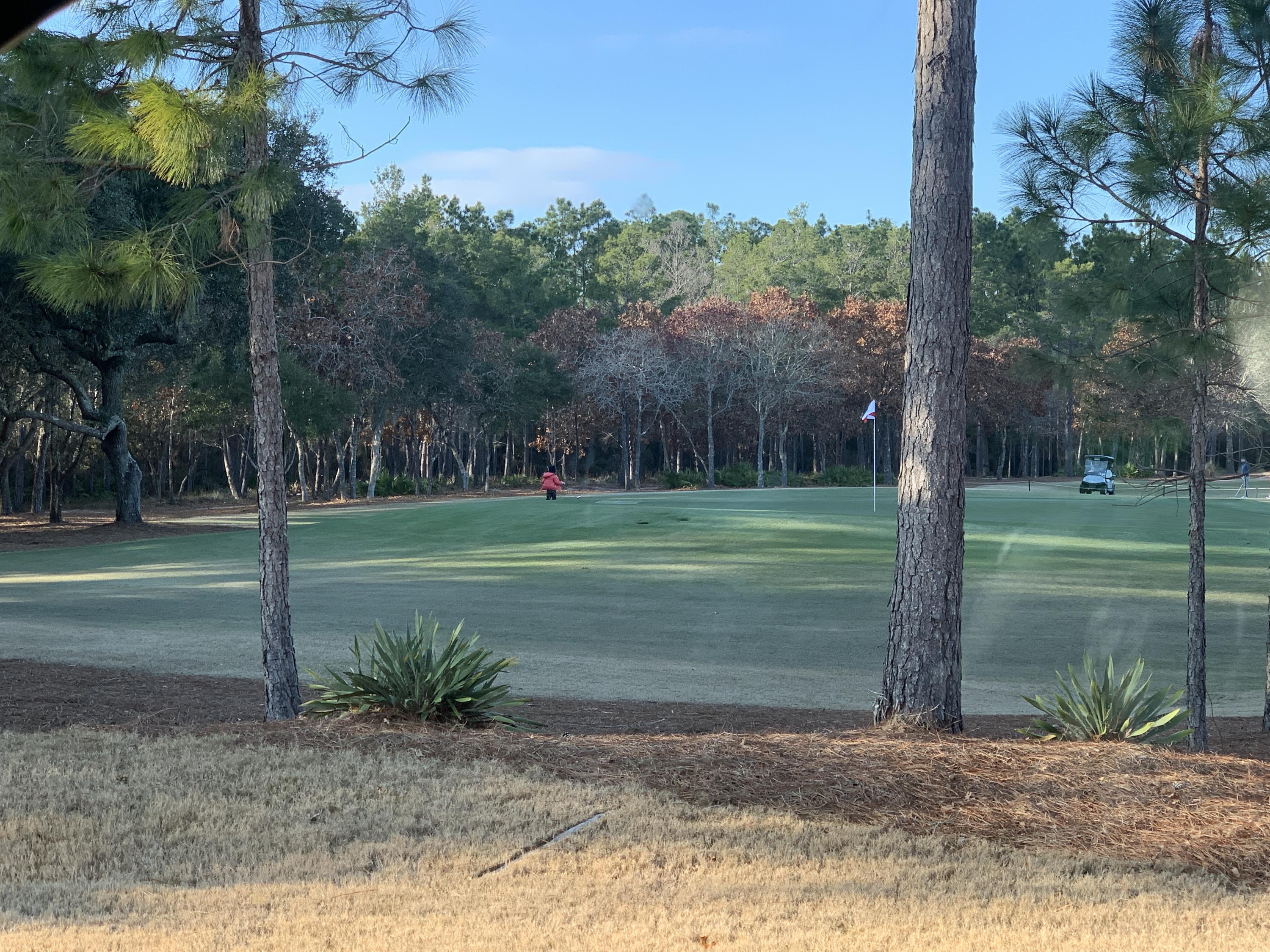 Wild Heron Phase XIV - Land