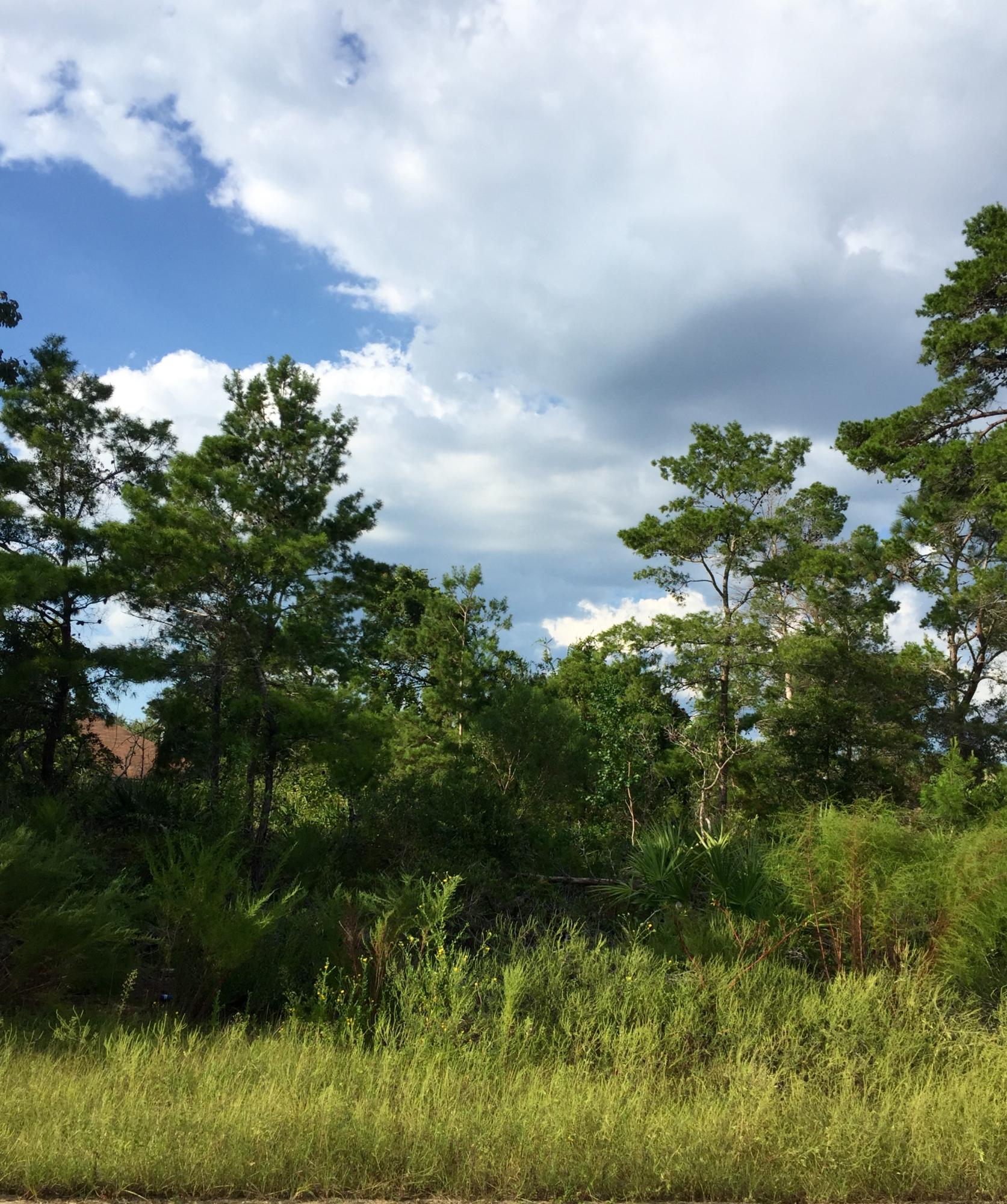 Corner lot in the established community of Raintree Estates.