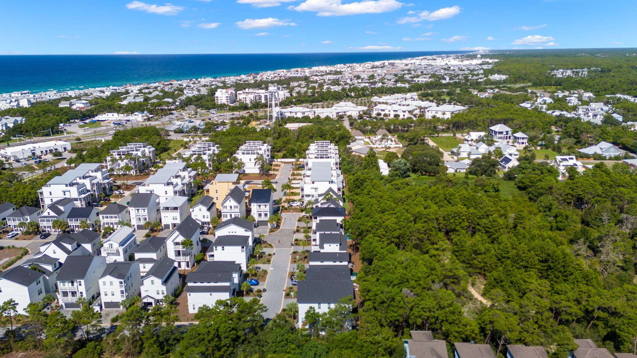 Ivy at Inlet Beach - Residential