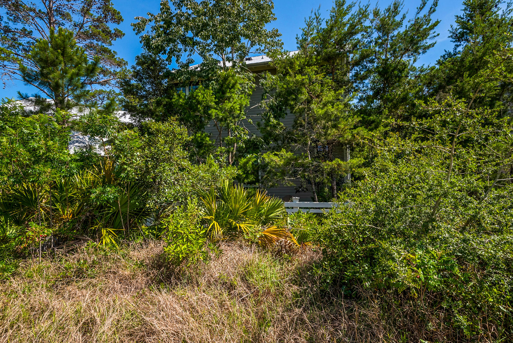 FOREST LAKES - Residential