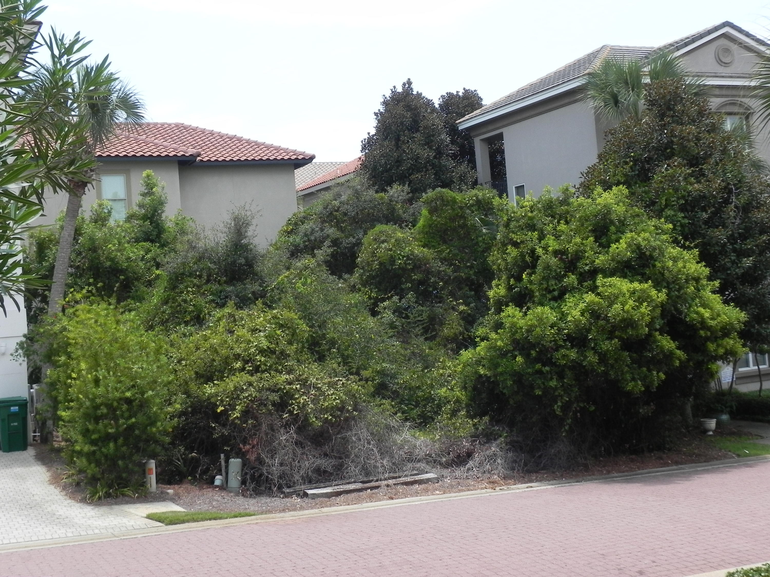 DESTINY BY THE SEA S/D - Land