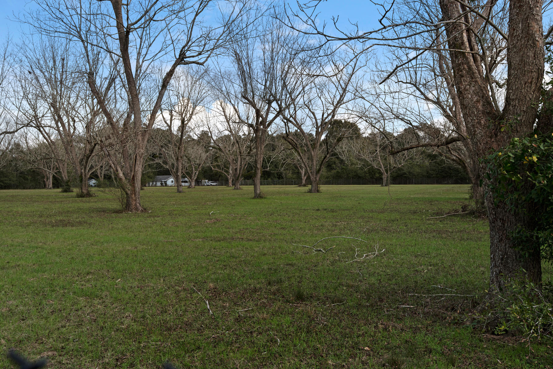 BRIARCLIFF - Residential