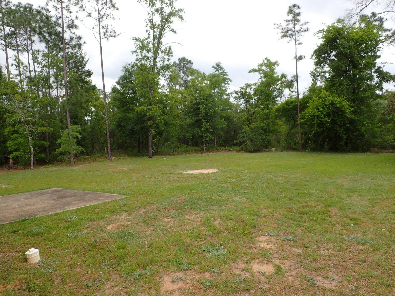 THE PINES - Residential