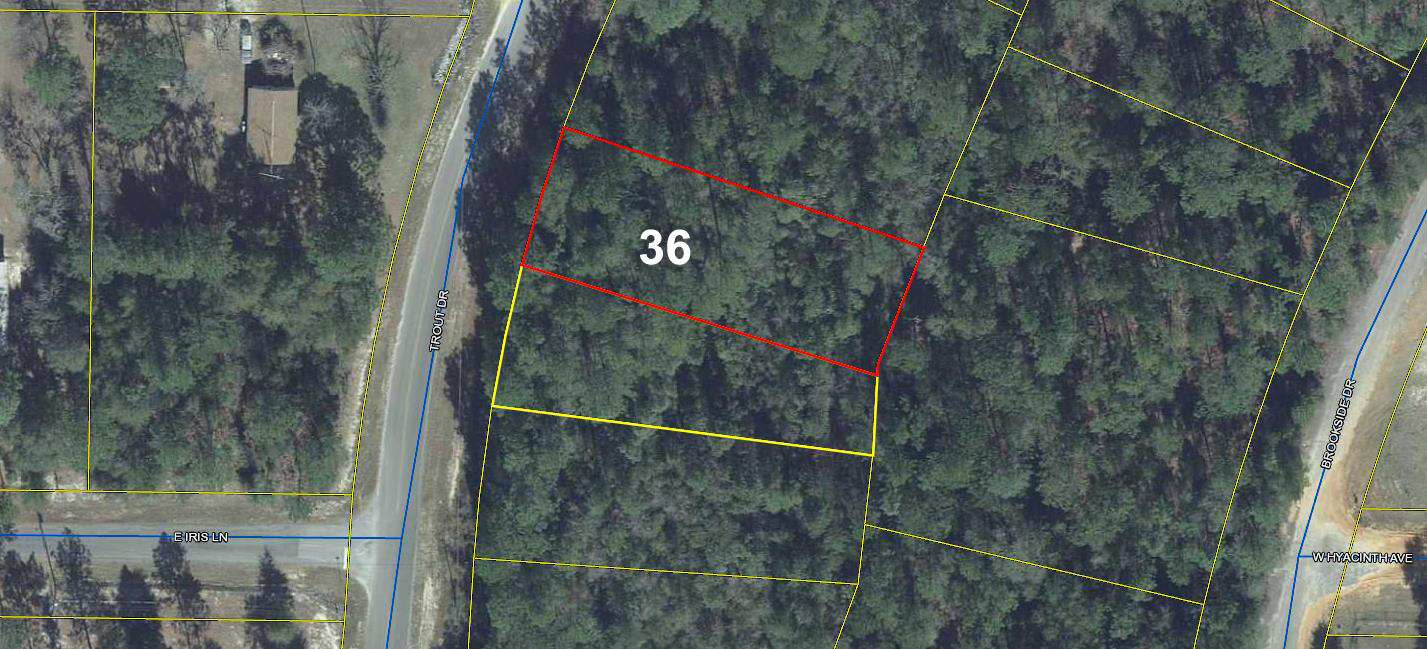 Wooded lot on a paved road in the fast growing Mossy Head area, approximately 10 minutes from historic downtown DeFuniak Springs, voted the Best Small Town in Florida by MainStreet USA.