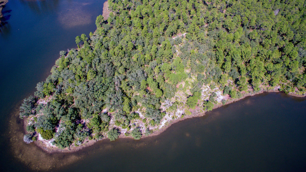 Fanning Bayou - Land