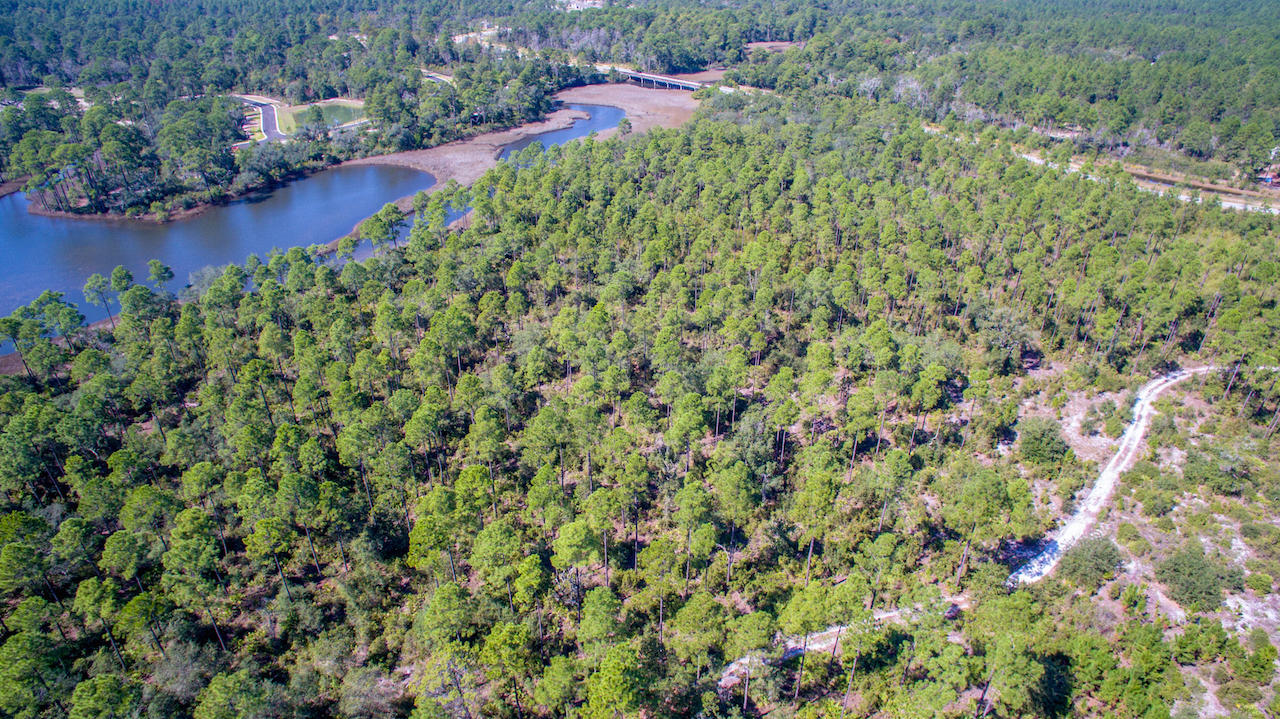Fanning Bayou - Land