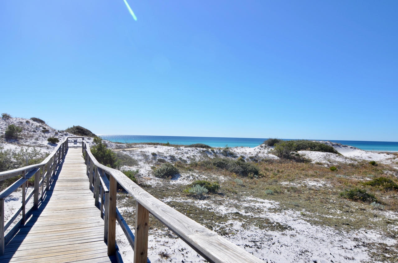 THE PRESERVE AT GRAYTON BEACH - Land