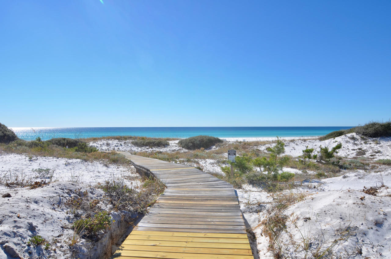 THE PRESERVE AT GRAYTON BEACH - Land