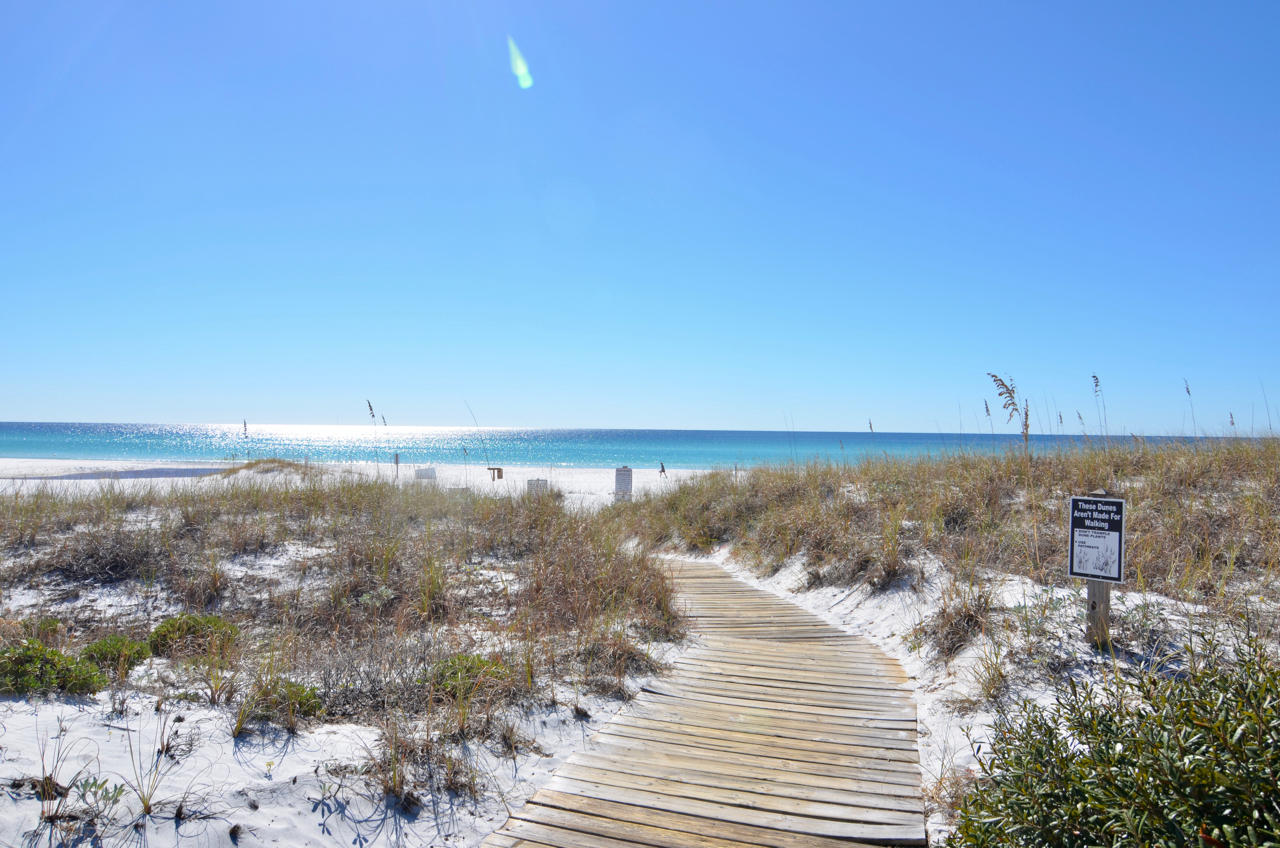 THE PRESERVE AT GRAYTON BEACH - Land