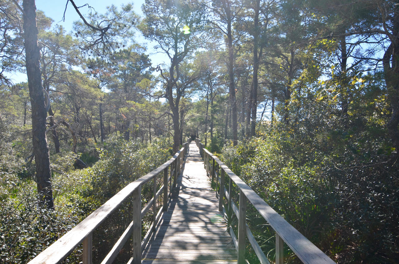 THE PRESERVE AT GRAYTON BEACH - Land