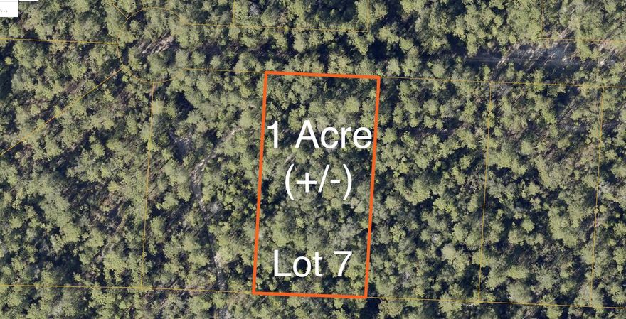 1 ACRE GEM! An amazing opportunity to own a large 1 acre lot does not come along very often at this price. Nestled in a country setting on a private road, this land offers privacy and the perfect canvas for your dream home. While enjoying the peace of rural living, it's important to note the access road in its current condition is very sandy and may require a four-wheel-drive vehicle. Lot is priced accordingly with the access condition taken into consideration. The property is mostly flat with some slight slopes. Despite this, with essential amenities a short drive away, this property has a unique blend of seclusion and convenience, located about half way between DeFuniak Springs & Crestview. Don't miss out on creating your haven in this countryside property!