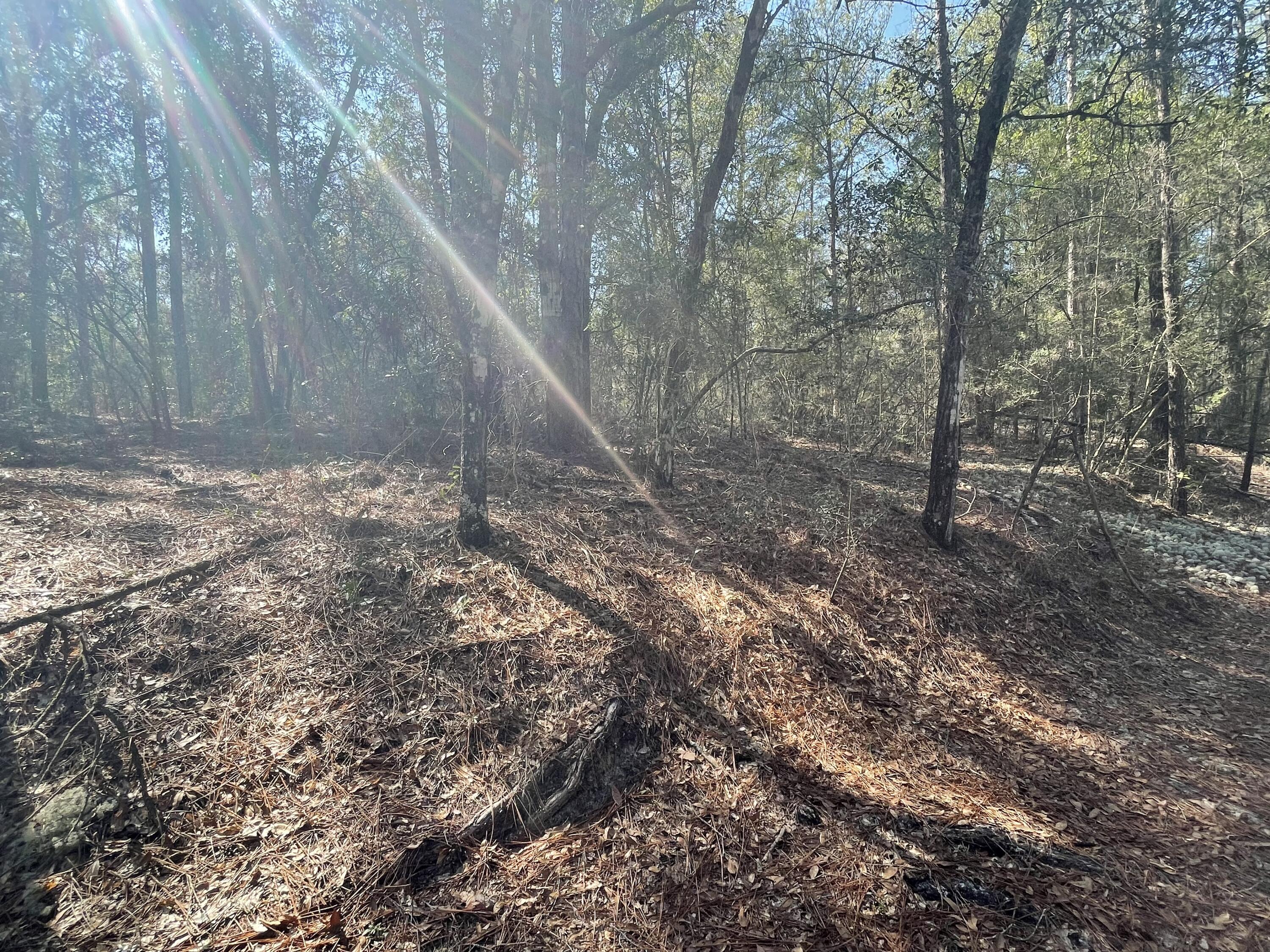 LOT 7 BLK 18 OAKWOOD HILLS UNIT IV - Land
