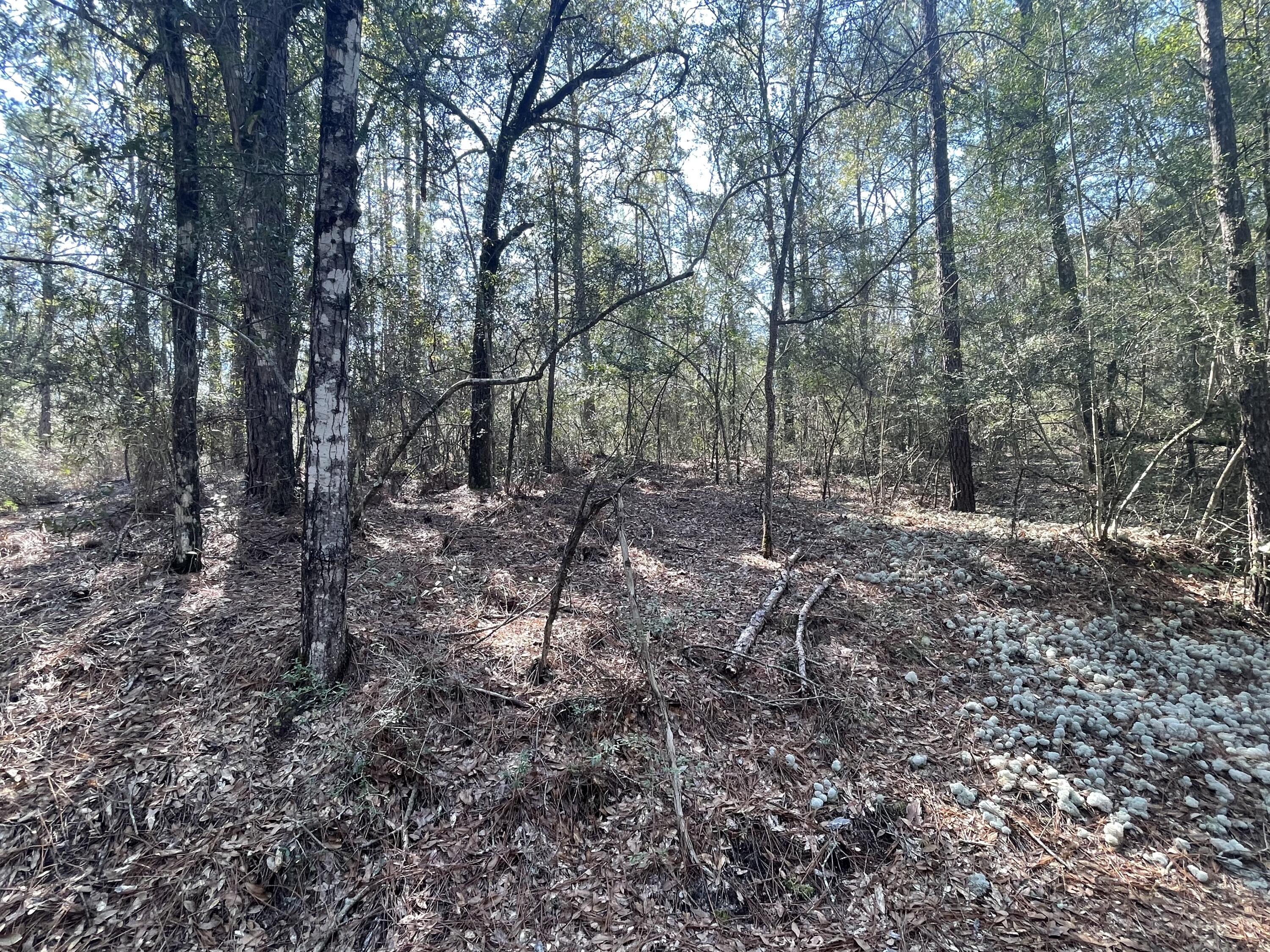 LOT 7 BLK 18 OAKWOOD HILLS UNIT IV - Land