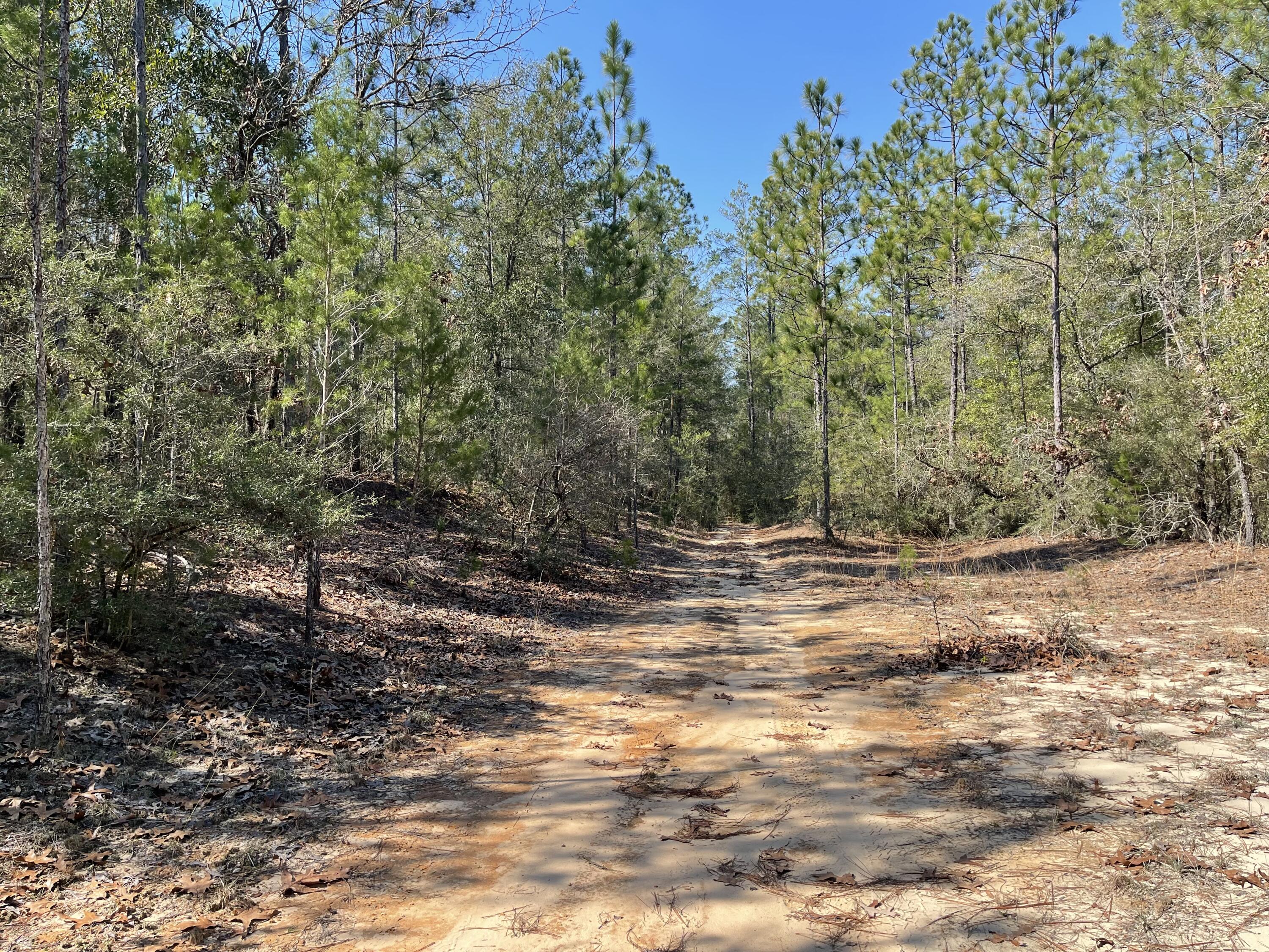LOT 7 BLK 18 OAKWOOD HILLS UNIT IV - Land