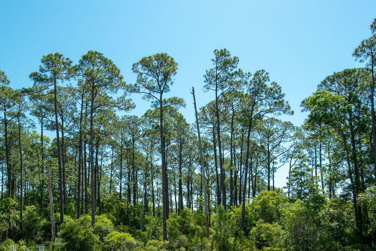 TOWN OF SANTA ROSA - Land