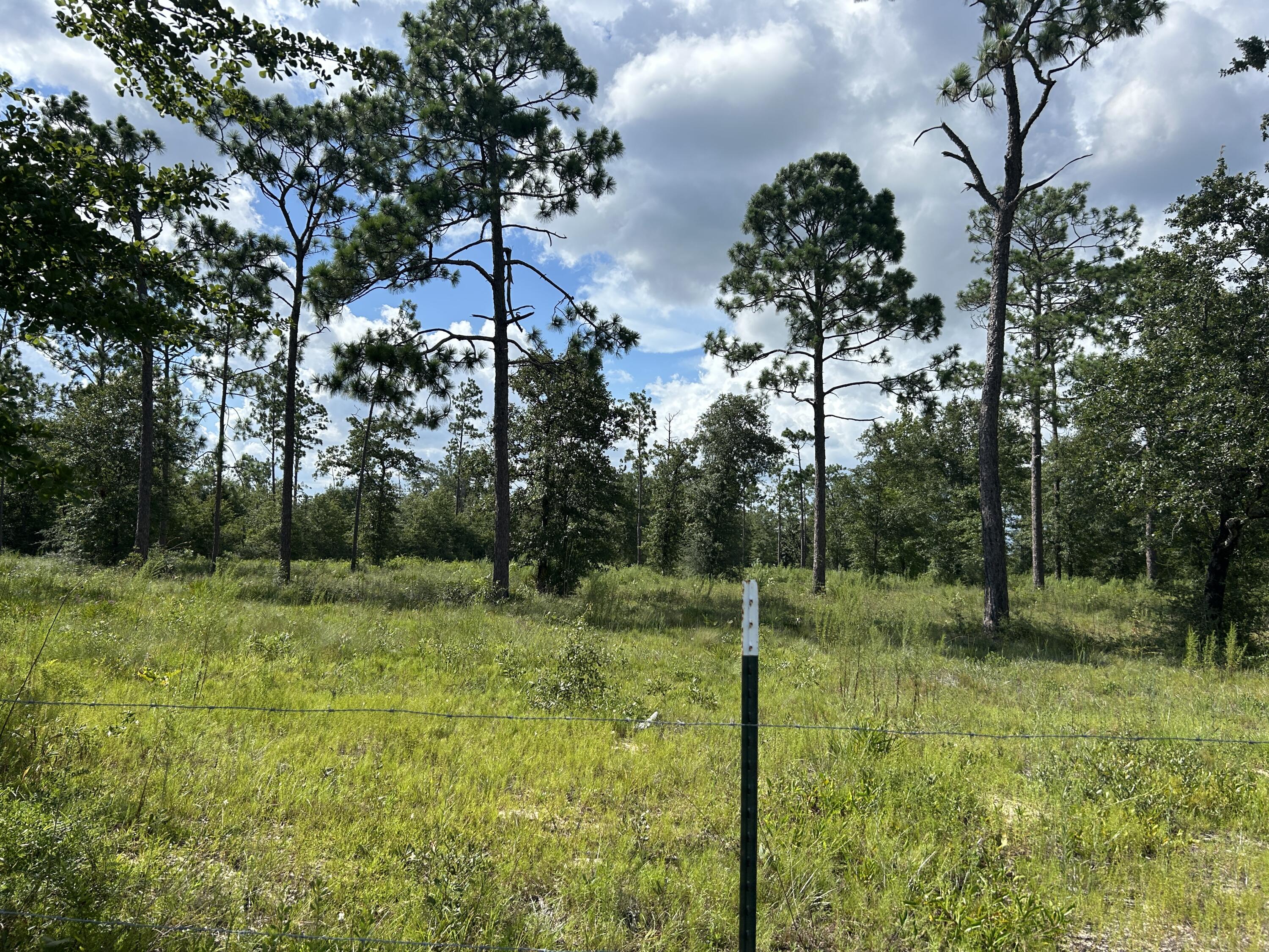 NO RECORDED SUBDIVISION - Land