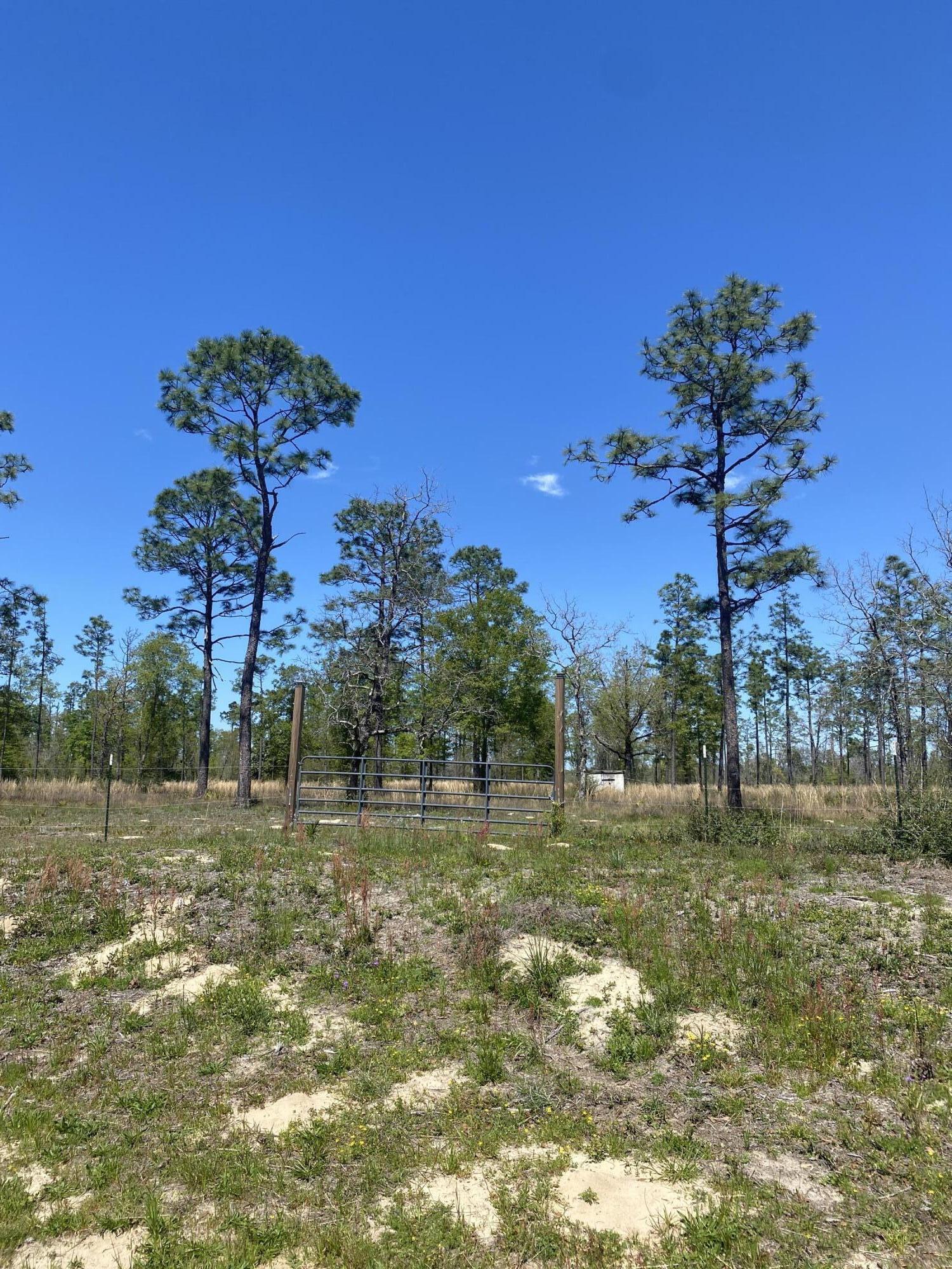 21.25 Acres on Bear Creek - A Nature Lover's Paradise! Located just north of Panama City, this stunning 21.25-acre parcel offers access to Bear Creek and is a dream setting for those seeking space, privacy, and endless outdoor adventure. Less than an hour to the white-sand beaches of the Gulf and just minutes from Econfina Creek Recreation Park, you'll be surrounded by opportunities for kayaking, fishing, hiking, and more. Conveniently situated near Highway 231, enjoy quick access to shopping, dining, and city amenities while still feeling a world away. Power is available nearby, but well and septic will be needed - making it a fantastic option for a private homestead, recreational retreat, or future development i.e. RV Park. Come explore the potential of this beautiful slice of Florida!