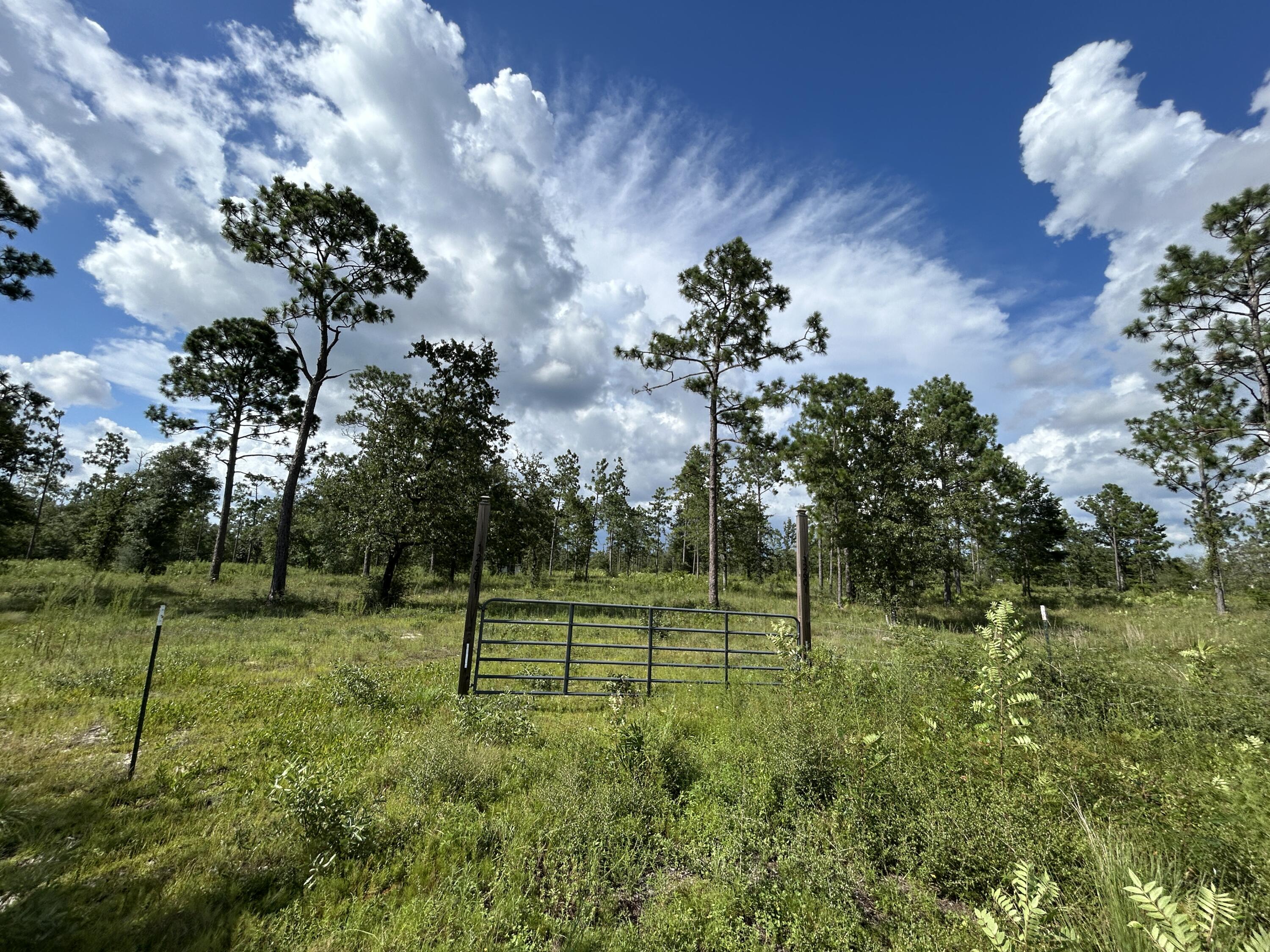 21.25 Acres on Bear Creek - A Nature Lover's Paradise! Located just north of Panama City, this stunning 21.25-acre parcel offers access to Bear Creek and is a dream setting for those seeking space, privacy, and endless outdoor adventure. Less than an hour to the white-sand beaches of the Gulf and just minutes from Econfina Creek Recreation Park, you'll be surrounded by opportunities for kayaking, fishing, hiking, and more. Conveniently situated near Highway 231, enjoy quick access to shopping, dining, and city amenities while still feeling a world away. Power is available nearby, but well and septic will be needed - making it a fantastic option for a private homestead, recreational retreat, or future development i.e. RV Park. Come explore the potential of this beautiful slice of Florida!