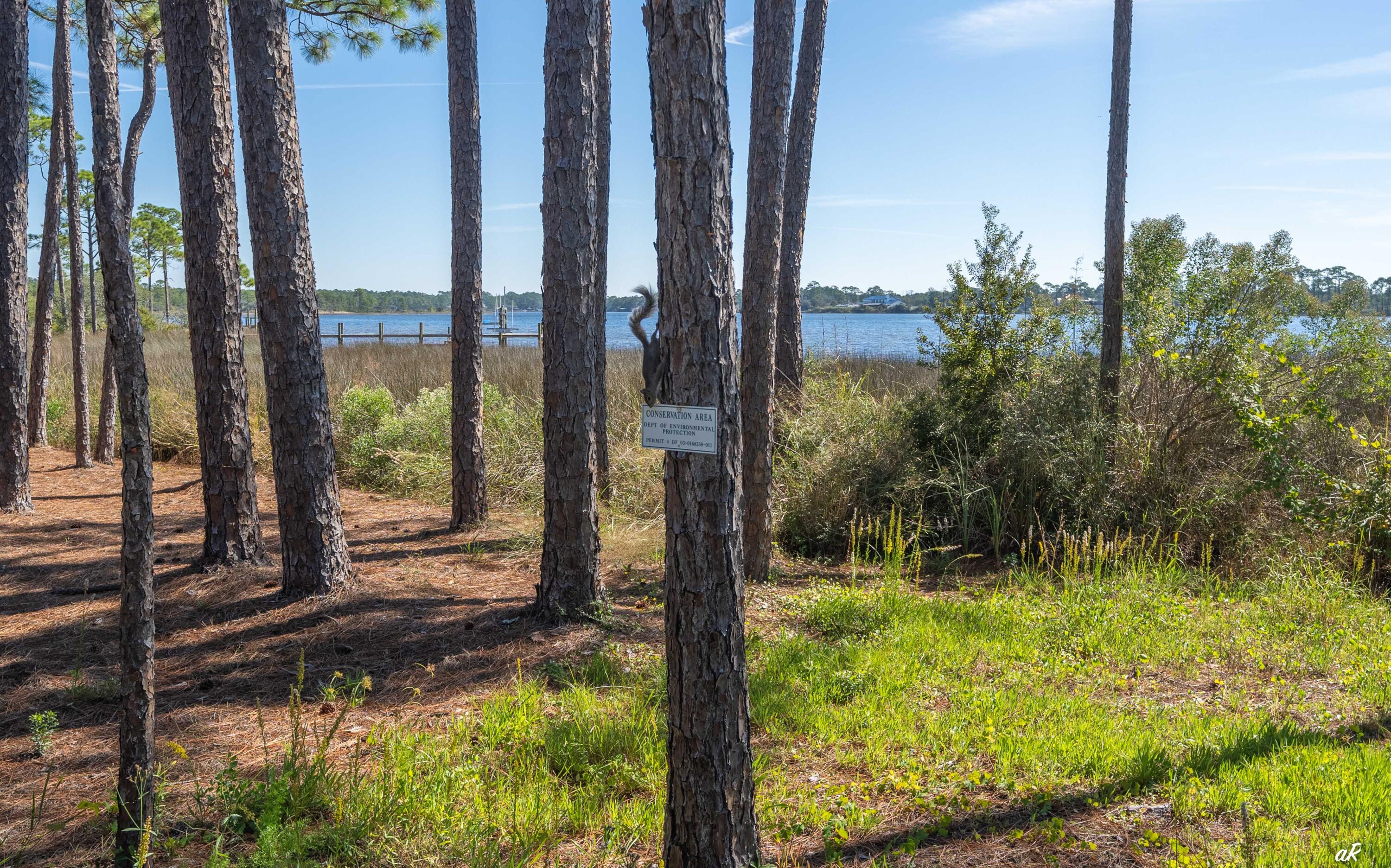 WILD HERON PHASE II - Land