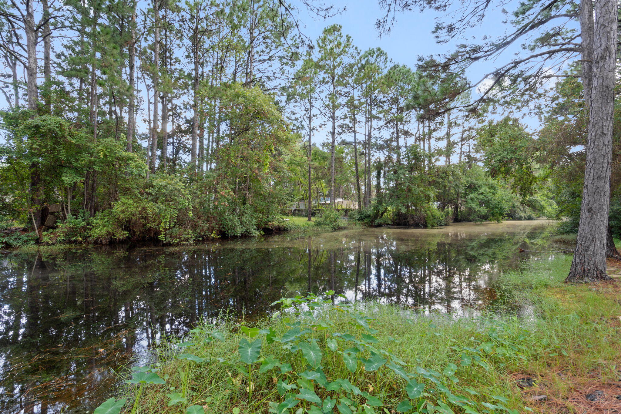 WYNNEHAVEN BEACH ESTATES - Residential