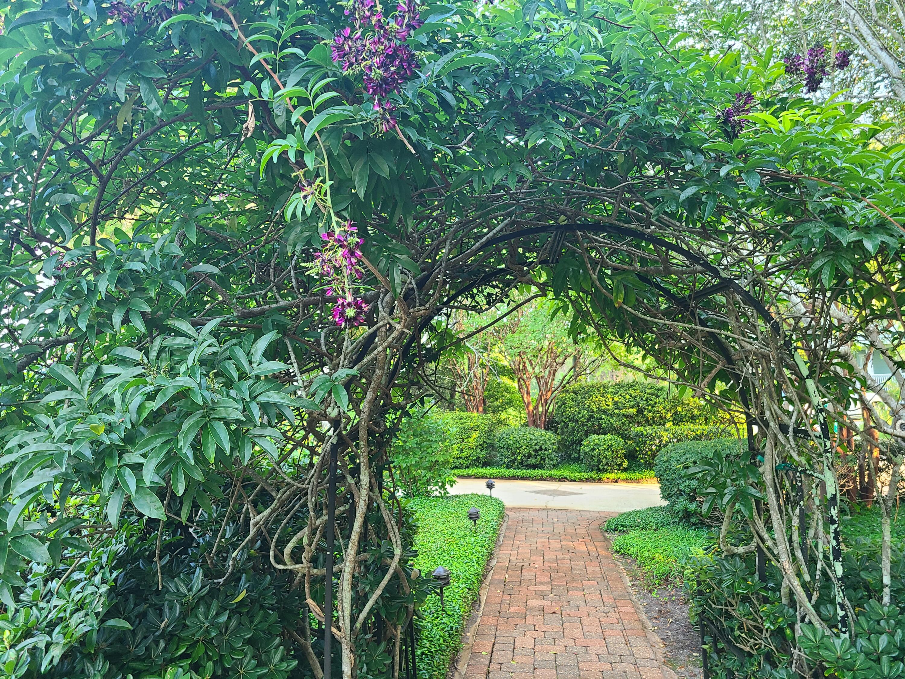 MAGNOLIA BEACH - Residential