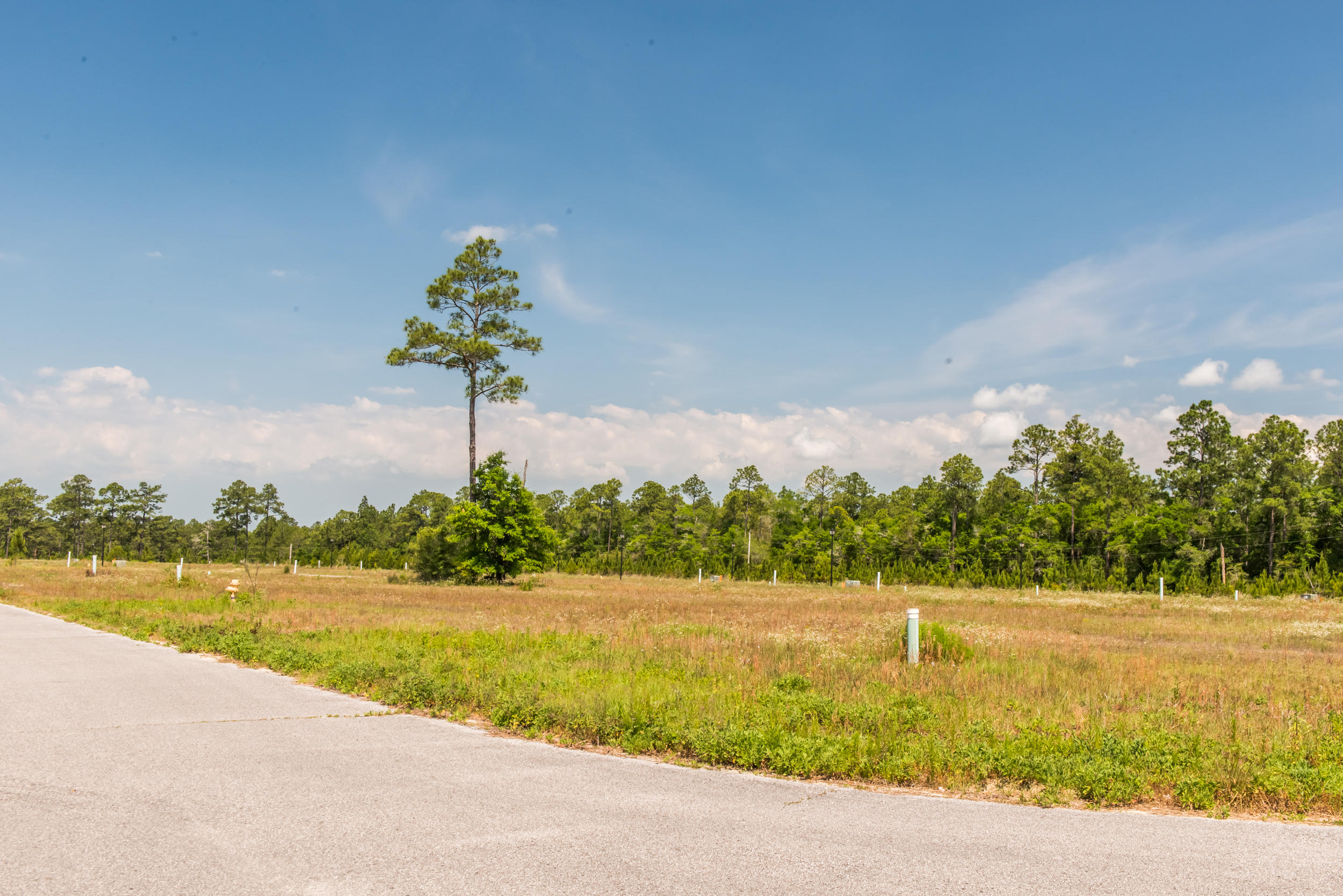 VERANDAS AT FREEPORT - Residential