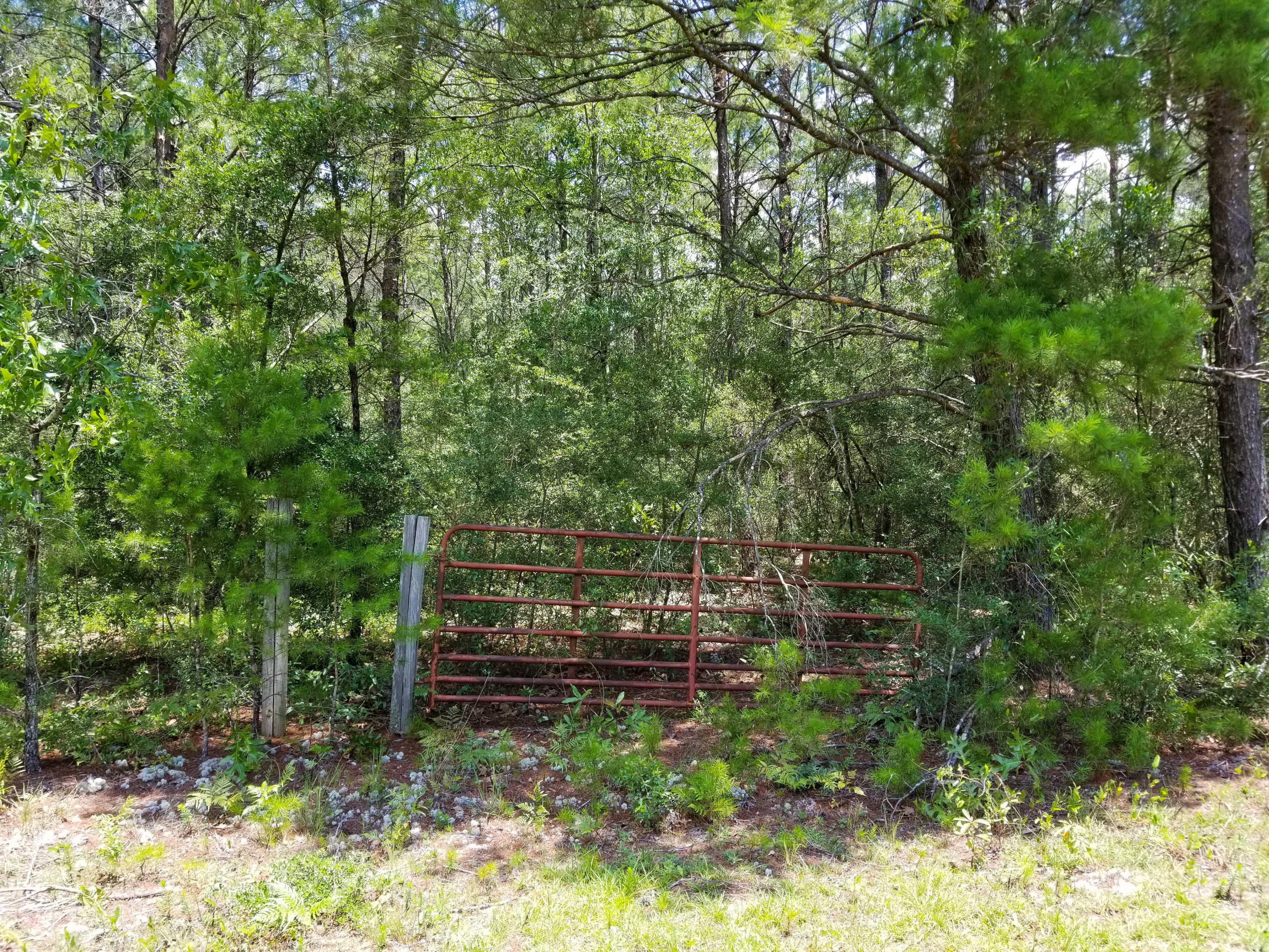 Great location on paved road to build your home or place a manufactured home. Lot has access to utilities: public water and power. Water is available through Mossy Head Water Works. Property zoned Rural Residential which allows Horses. Property is minutes from Interstate access (I-10), Eglin Air Force Base, Blackstone Golf Course, Emerald Coast Zoo, Bob Sikes Airport, North Okaloosa Medical Center, Defuniak Springs, Crestview, and approximately 30 minutes to the sugar white sand beaches and Emerald colored water of the Emerald Coast! Property has recently been surveyed and included, a $750.00 value.