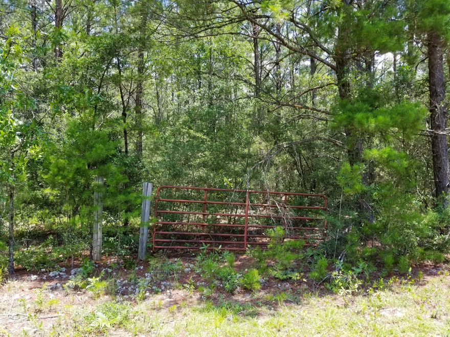 Great location on paved road to build your home or place a manufactured home. Lot has access to utilities: public water and power. Water is available through Mossy Head Water Works. Property zoned Rural Residential which allows Horses. Property is minutes from Interstate access (I-10), Eglin Air Force Base, Blackstone Golf Course, Emerald Coast Zoo, Bob Sikes Airport, North Okaloosa Medical Center, Defuniak Springs, Crestview, and approximately 30 minutes to the sugar white sand beaches and Emerald colored water of the Emerald Coast!  Property has recently been surveyed and included, a $750.00 value.