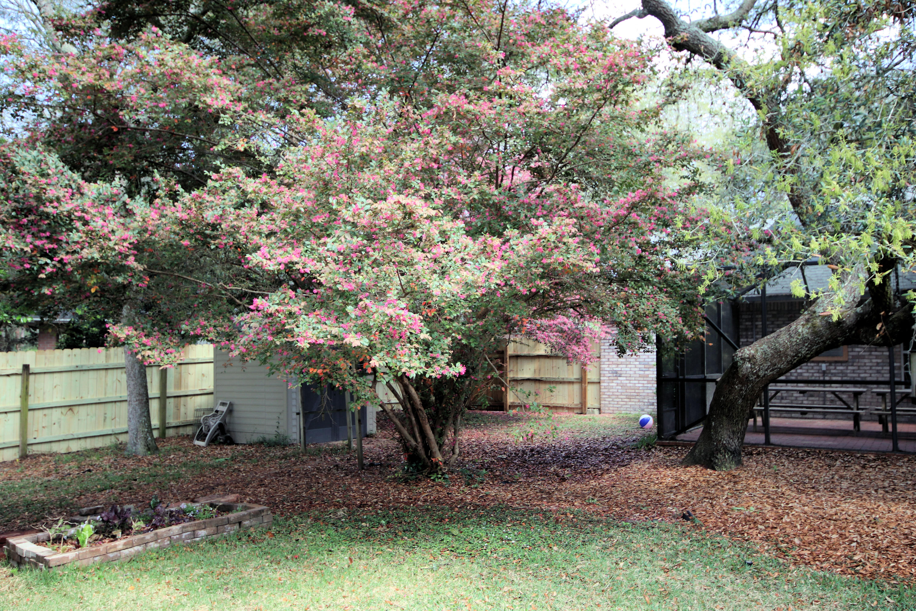 PARKWOOD ESTATES PH 1 BLUEWATER BAY - Residential