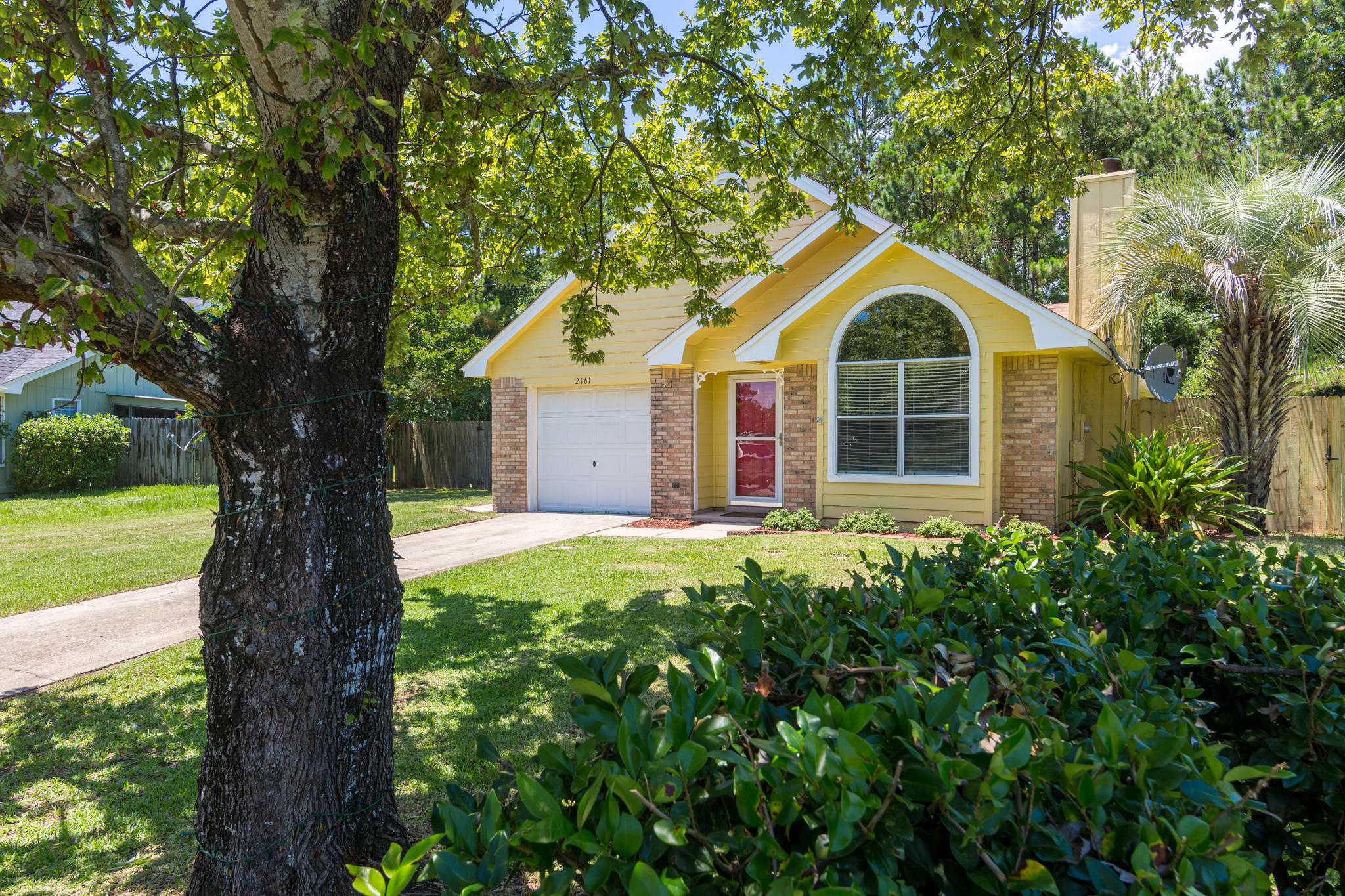 WHITNEY PINES - Residential