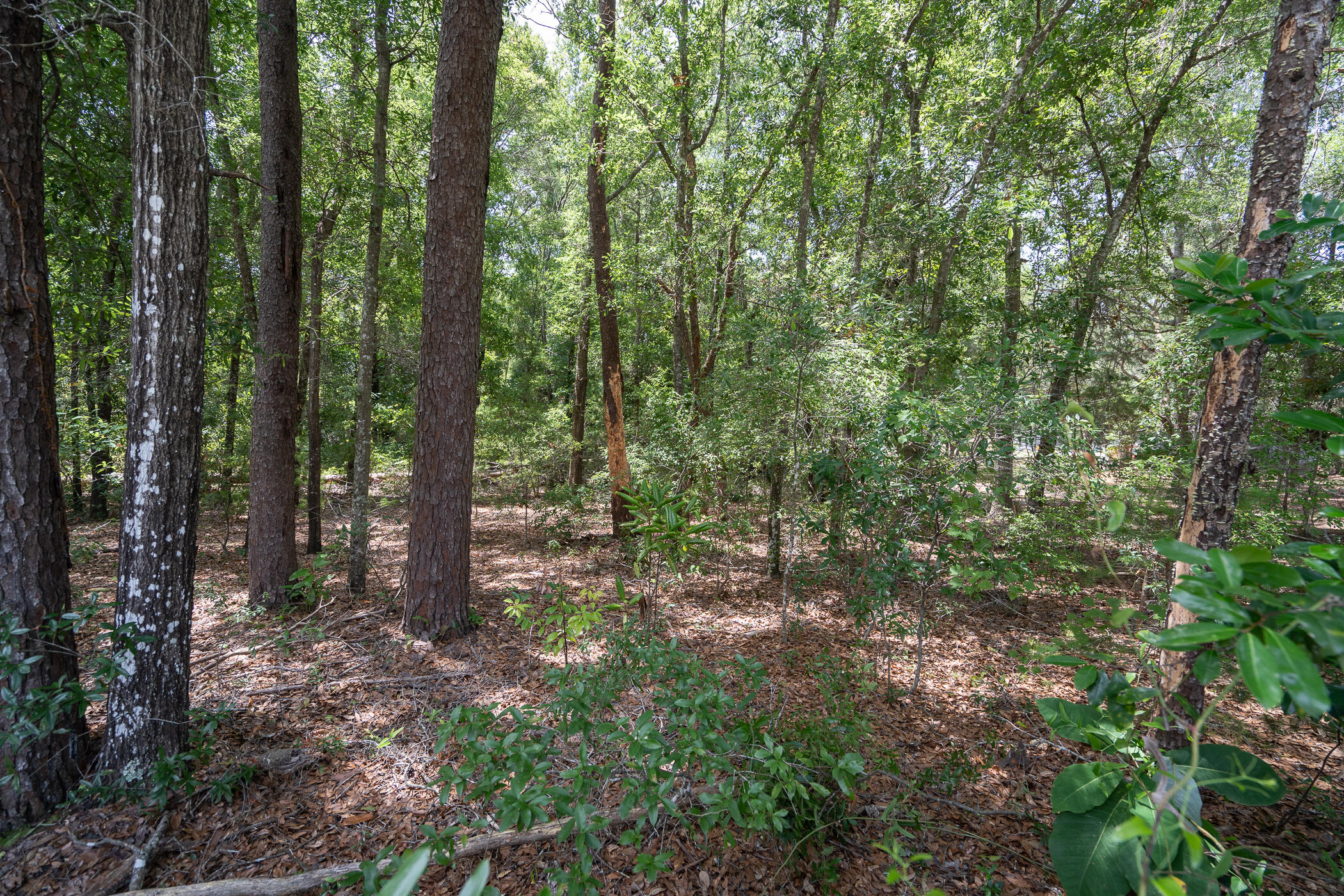 Seminole Subdivision - Land