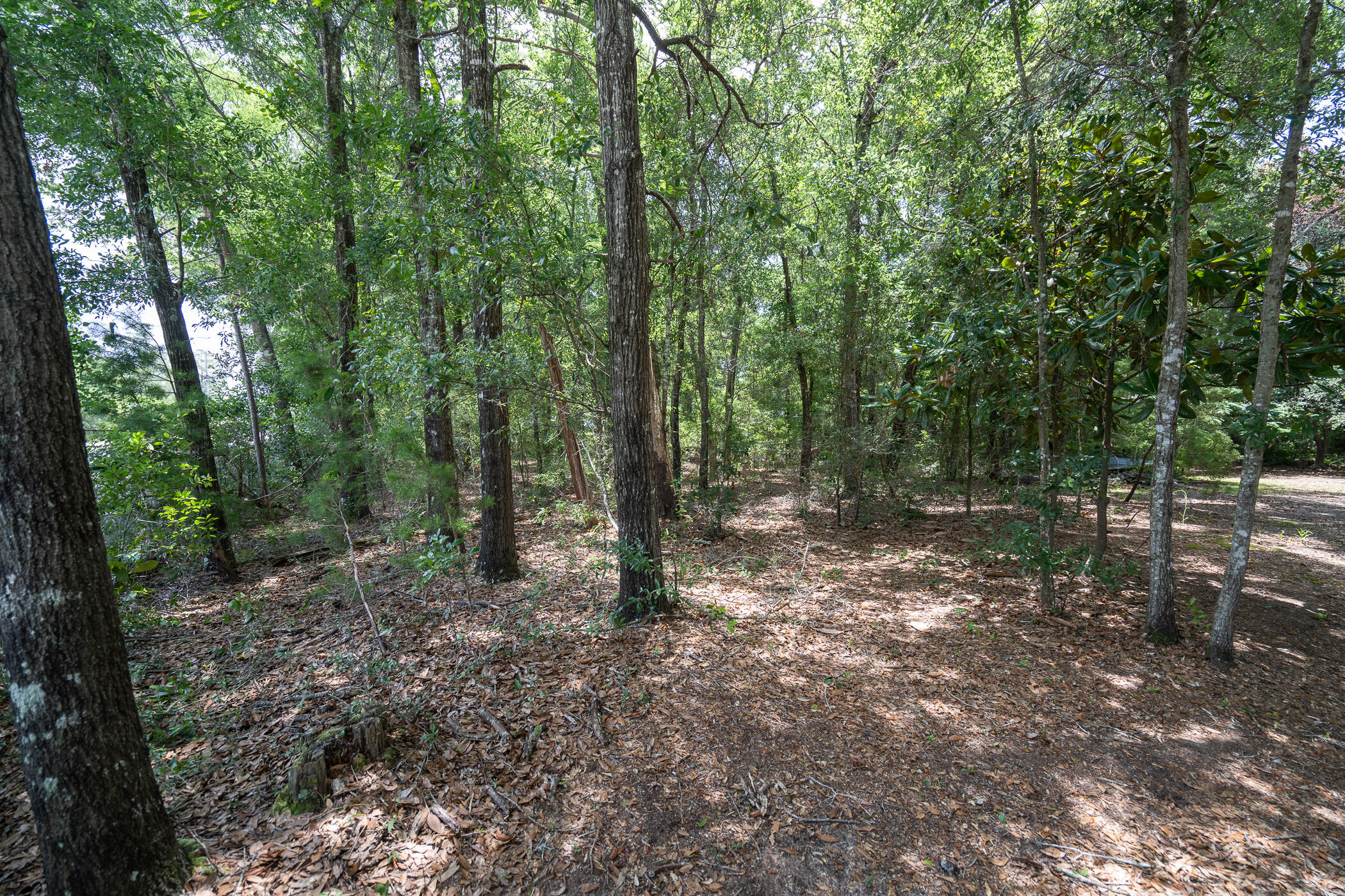 Seminole Subdivision - Land