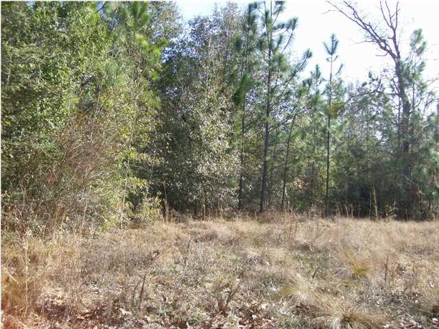 Level 8+/- acres in Holt at the Santa Rosa County Line. Would make a wonderful home site and plenty of room for you horses, cattle, children and pets.