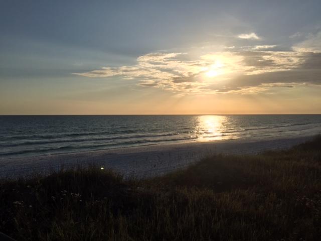 ELATION - Residential