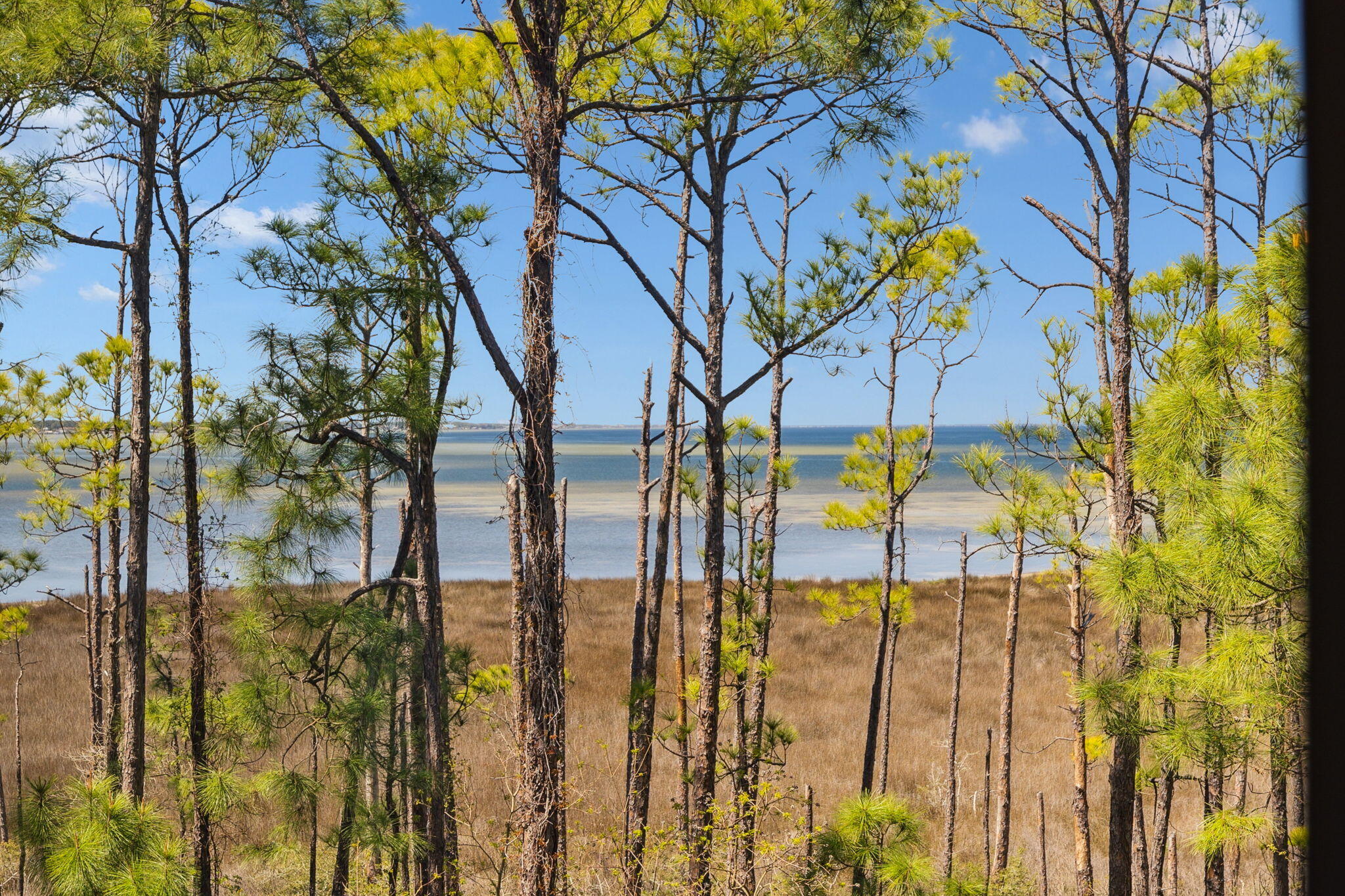 Perched on the third floor, this bayfront condo in Bahia offers breathtaking views of the Choctawhatchee Bay from every window and your private balcony. Immerse yourself in the peaceful surroundings while enjoying the coastal breeze. Inside, the open-concept layout includes a spacious kitchen, a combined dining and living area that leads to the covered balcony, and a primary suite with a private owner's closet. The bathroom has been beautifully remodeled in 2024 with a custom shower, upgraded countertops, and new light and bathroom fixtures.As a Bahia owner, you'll enjoy exclusive perks such as underground parking, a resort-style heated pool, hot tubs, and access to the private Solstice Club and private beach access  
Luxury vinyl plank (LVP) flooring extends throughout the entire condo, complementing the upgraded light fixtures in every room. The kitchen is well-appointed with a new dishwasher, a modern kitchen faucet, and additional shelving installed in the cabinets for enhanced storage. A new digital programmable lock provides added security and convenience.

 

As a Bahia owner, you'll enjoy exclusive perks such as underground parking, a resort-style heated pool, hot tubs, and access to the private Solstice Club an ideal spot to entertain while taking in stunning bayfront sunsets. This prime location is just steps from The Village of Baytowne Wharf, a vibrant pedestrian-friendly area filled with shops, dining, live entertainment, and a playground.

 

Spanning 2,400 acres from the Gulf to the Bay, Sandestin Golf and Beach Resort offers an unparalleled experience with miles of pristine shoreline, four championship golf courses, 15 top-tier tennis courts, a 226-slip marina, a fitness center, spa, and exceptional dining, including options from renowned chefs. Within the resort gates, residents embrace a seamless blend of luxury and recreation, with everything accessible by golf cart or bicycle. The community is connected by scenic paths winding through oak-lined streets, past serene lagoons, sparkling lakes, and meticulously designed golf courses creating the perfect setting for an extraordinary coastal lifestyle.

 

Additional updates include shelving installed in closets for optimized organization and an HVAC system serviced in winter 2024, ensuring year-round comfort. This beautifully updated condo is a perfect blend of style, convenience, and resort living.