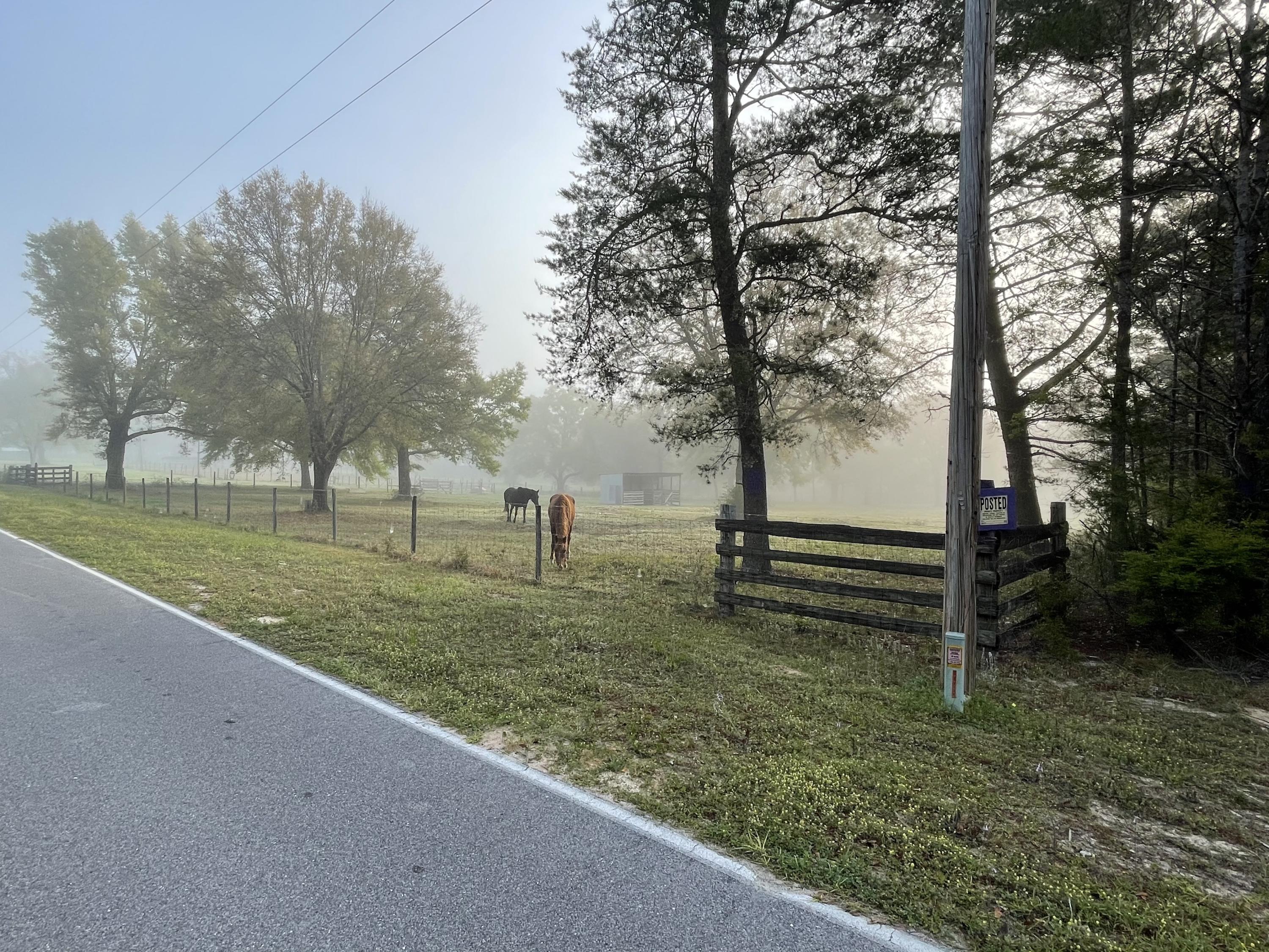 Bring your floor plans and horses! Plenty of room to have your dream homes and all the horses, sheep, and goats you want. Unlimited possibilities with this property.