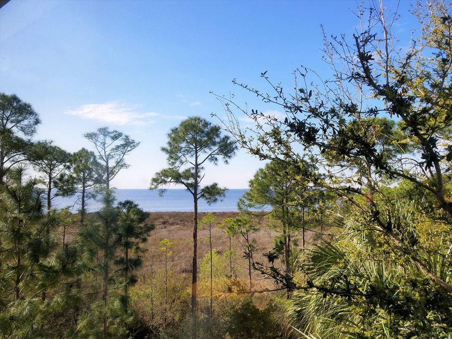 Spacious corner condo with uninterrupted lush bay views. This is the largest 1bed/1bath floor plan in Bahia. There are many extra features that really set this unit apart from the others, such as raised ceilings, a large rounded balcony that opens up to both the bedroom and the dining room, spacious bedroom closet, large windows showcasing the bay views, granite counter tops in the kitchen, double sink vanity in the bathroom, and tasteful furnishings. Amenities of Bahia include: swimming pool, hot tub, exercise room, indoor parking and access to the private Soltice Club. As an added bonus and to introduce the new owners to the Sandestin lifestyle, the listing brokerage and seller(s) are offering an incentive package to the buyer(s) of this property: