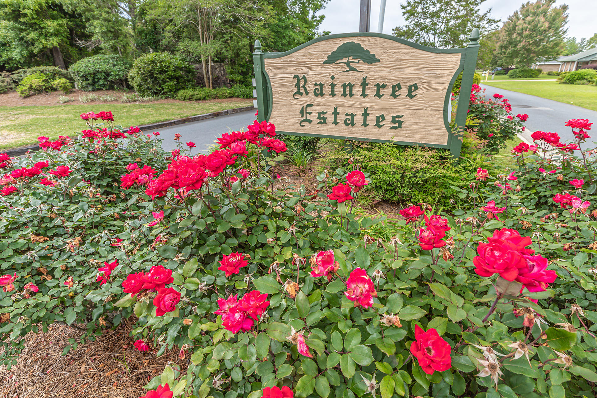 RAINTREE ESTATES - Residential