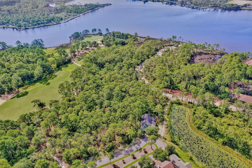 This vacant lot is on a nearly fully developed cul-de sac street of fine homes and is ready for a full-time home or a vacation retreat in the coastal community of Wild Heron. Wild Heron is a gated community along the scenic shores of Lake Powell, one of the Panhandle's amazing coastal dune lakes. Golf lovers will enjoy Wild Heron as the award-winning Shark's Tooth Golf Club, designed by Greg Norman, which runs throughout the neighborhood. The community also offers tennis courts, boardwalks, trails, swimming pool, fitness center and a boathouse stocked with kayaks and canoes for residents' use. Lot dimensions are approximate and should be verified by the buyer.