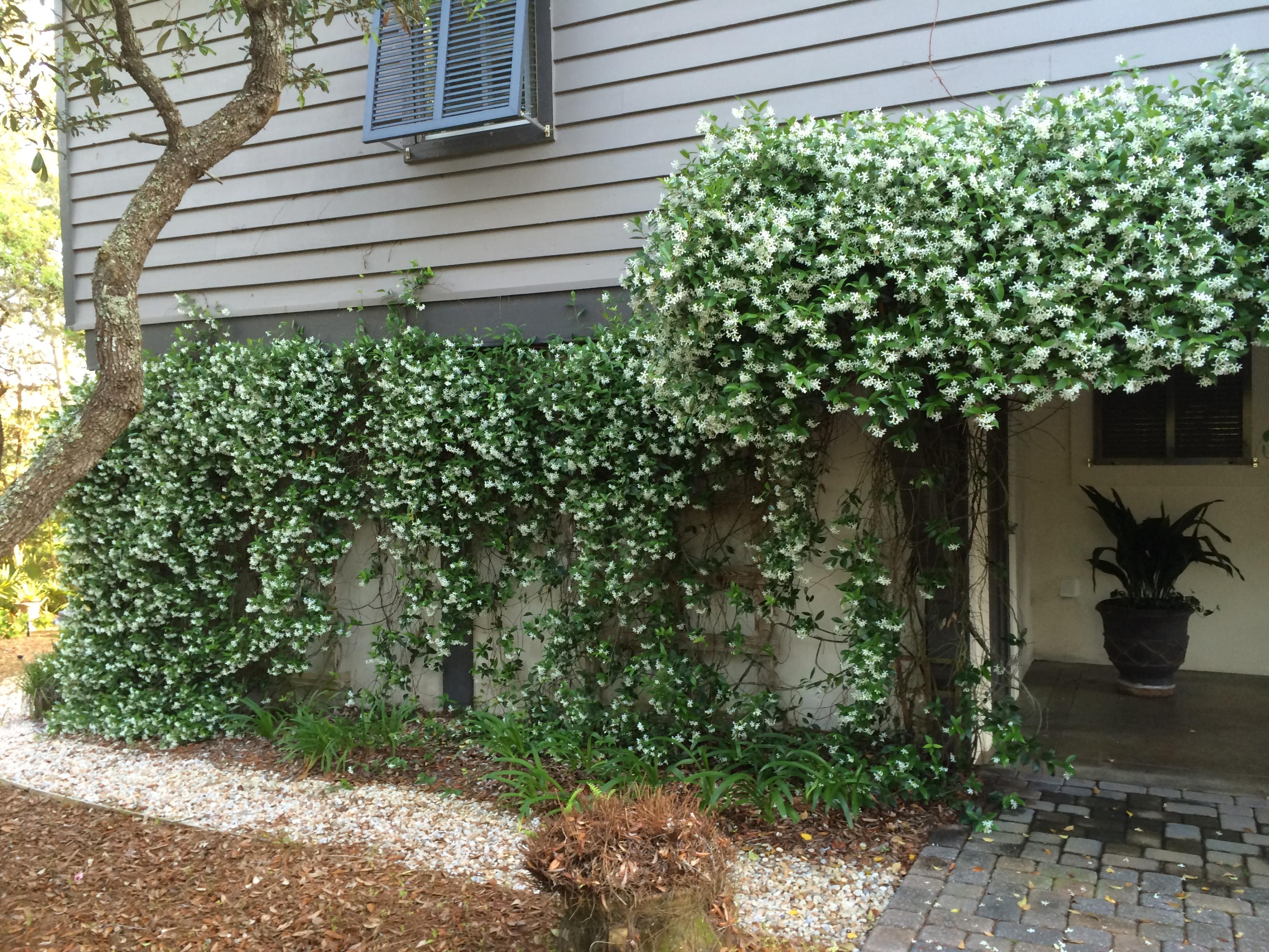 BEACH HIGHLAND - Residential