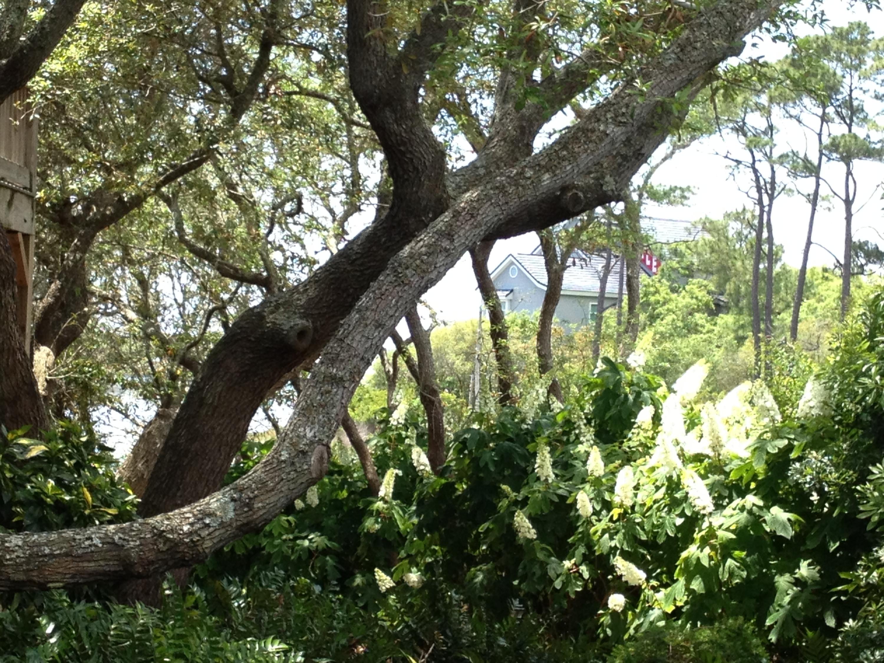 BEACH HIGHLAND - Residential