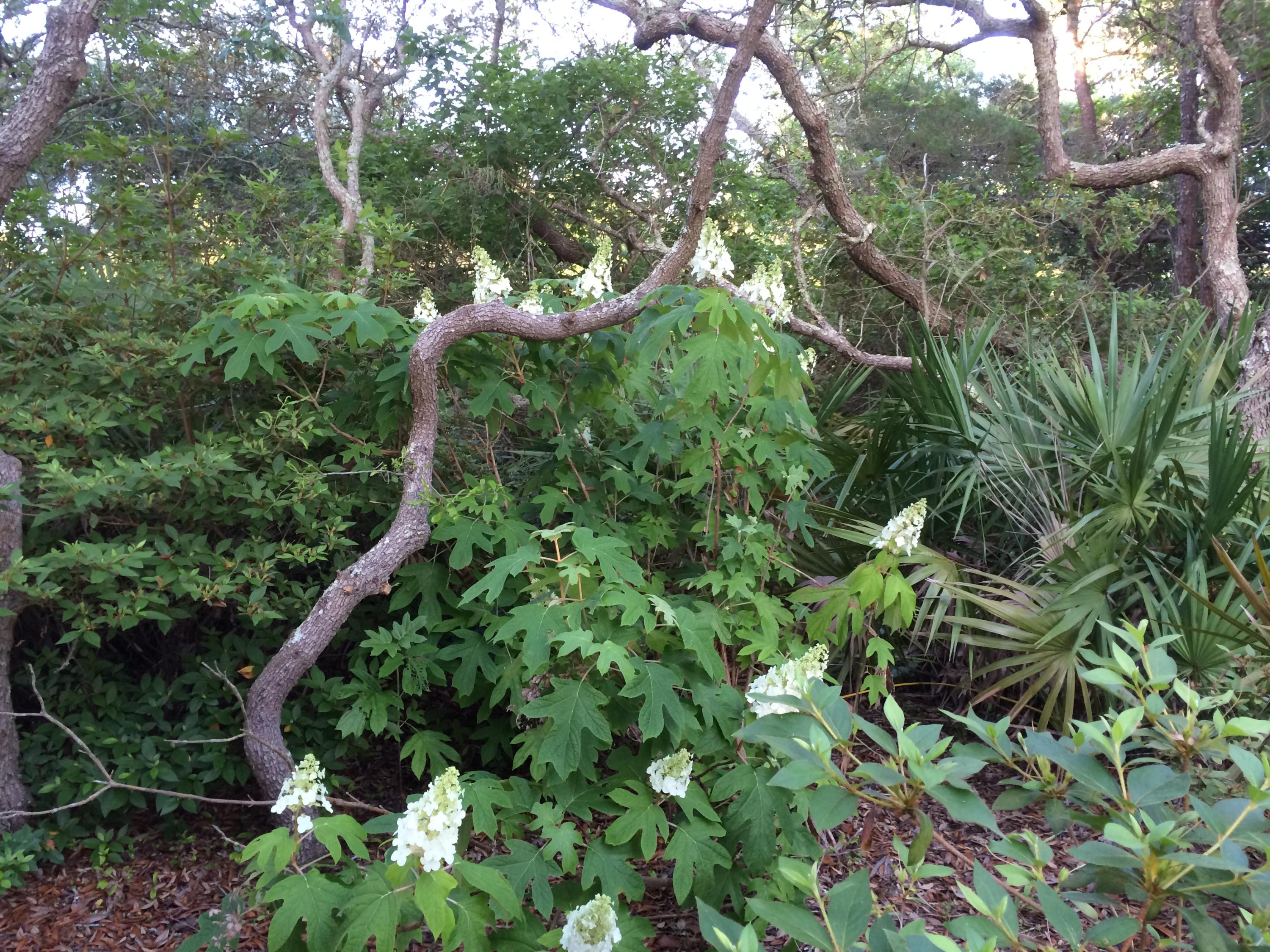 BEACH HIGHLAND - Residential