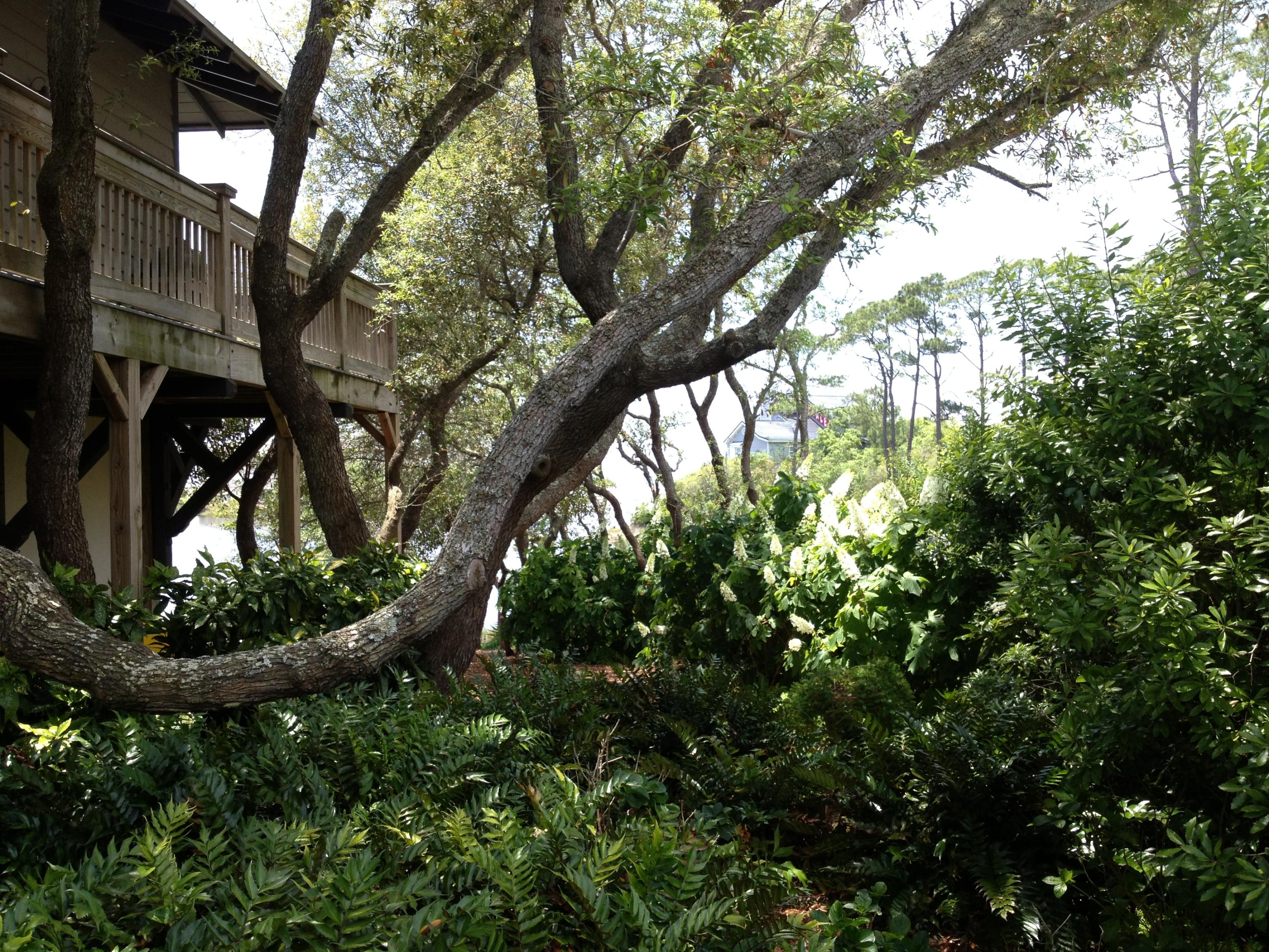 BEACH HIGHLAND - Residential